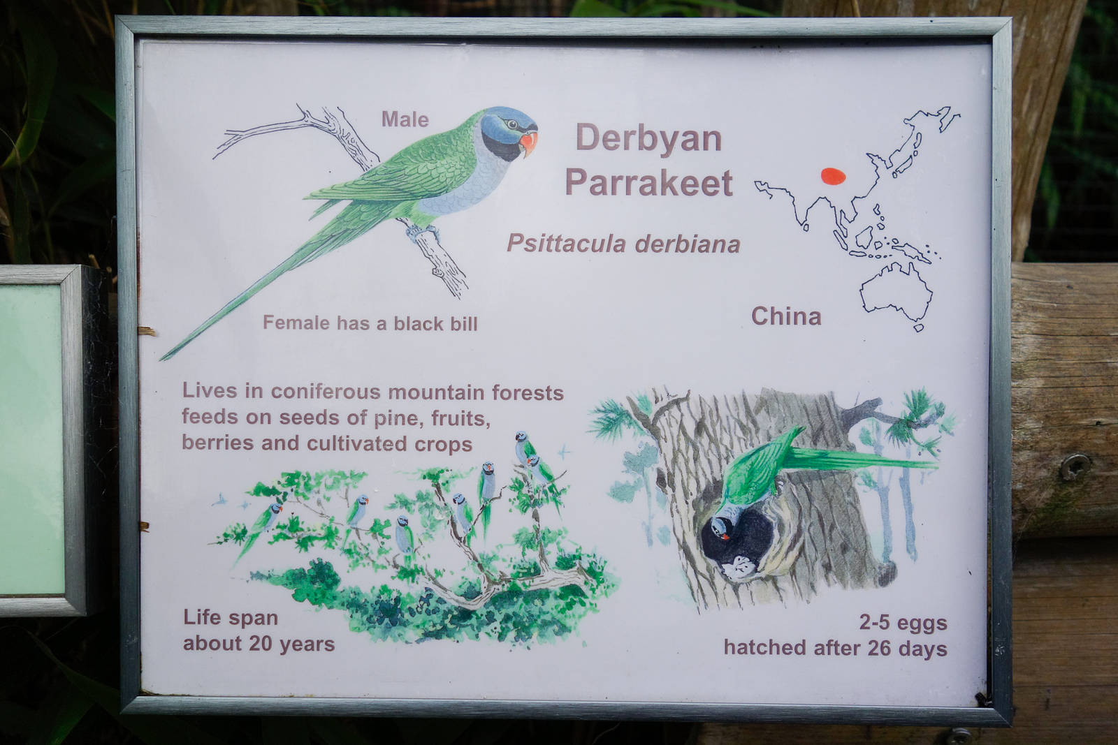 Spot the Mistake - 04/09/2012