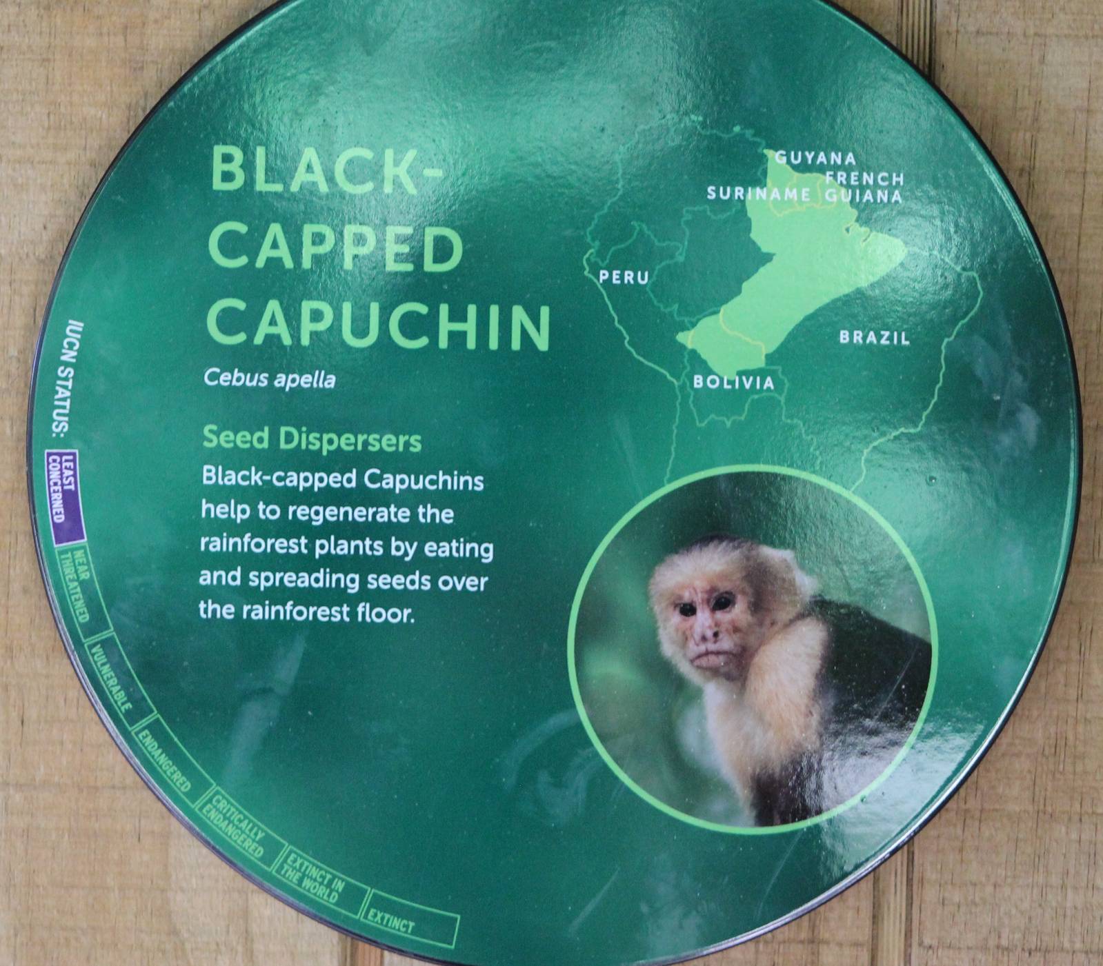 spot the mistake....