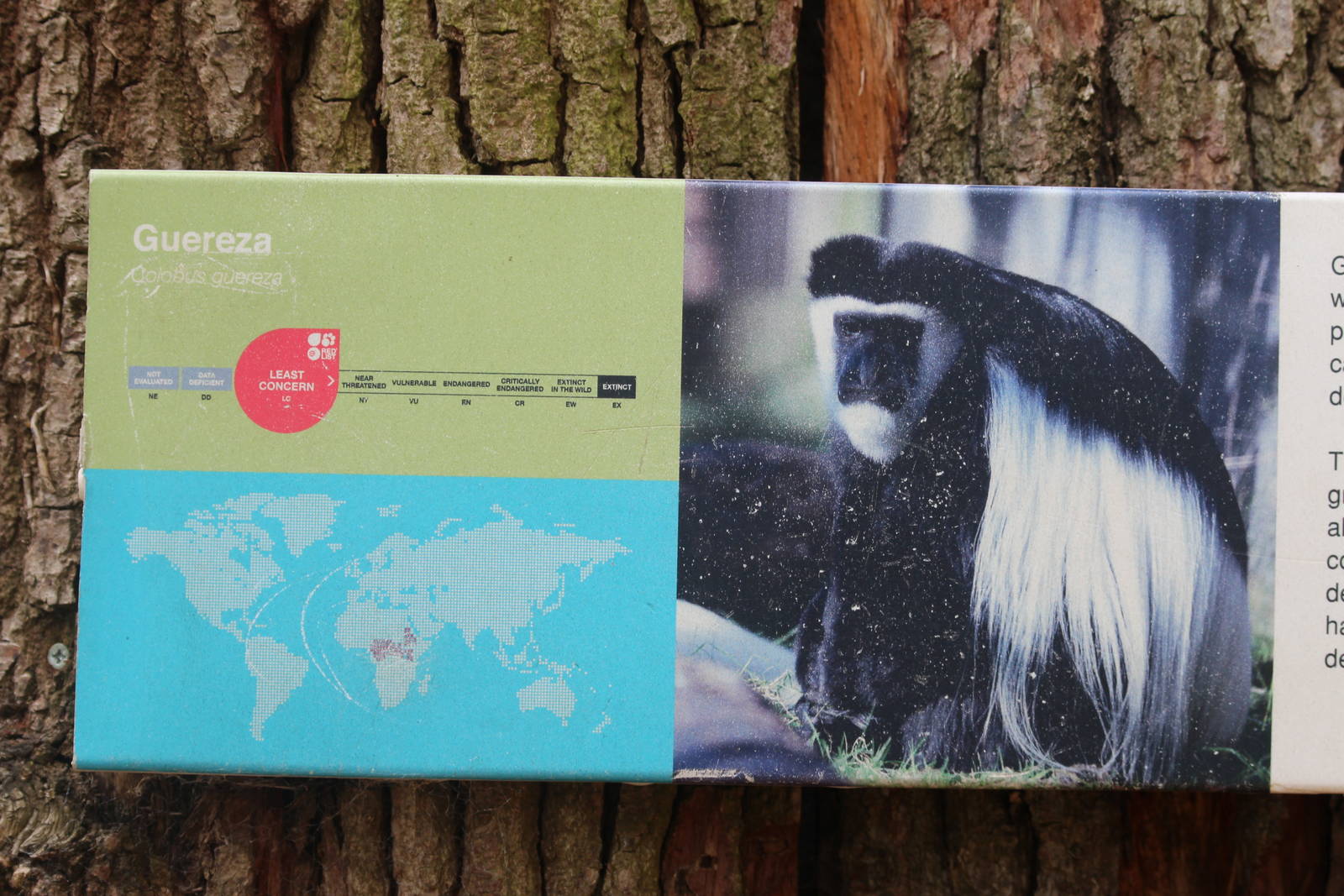 Spot the name change