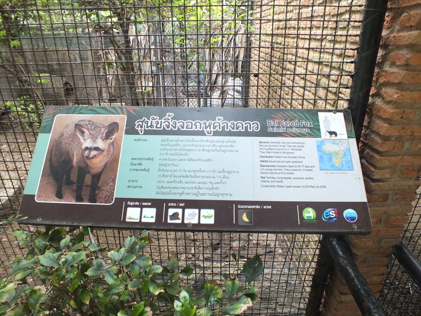 Spot the Obvious Mistake