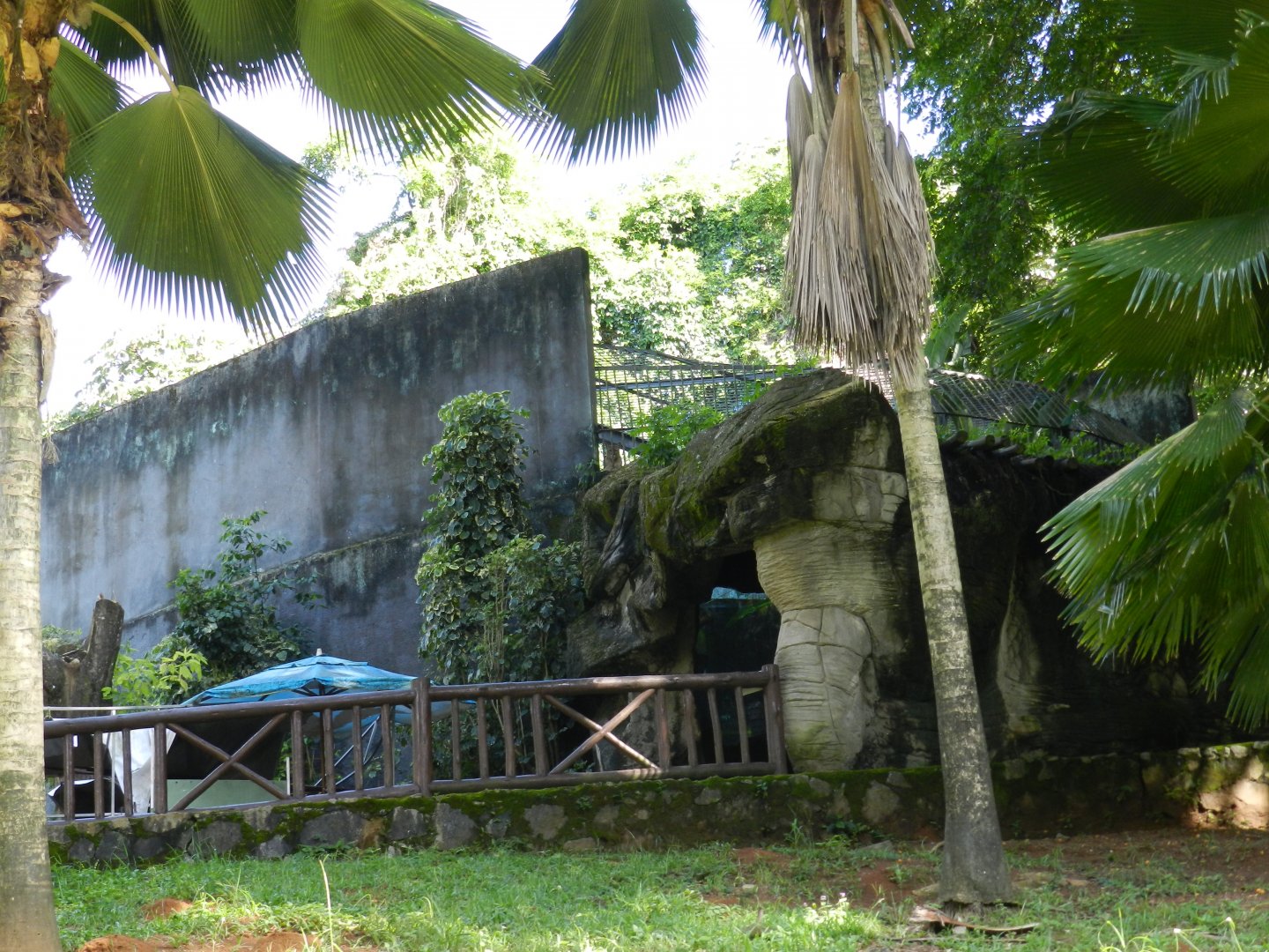 Spot the puma - Salvador zoo (PZGV)