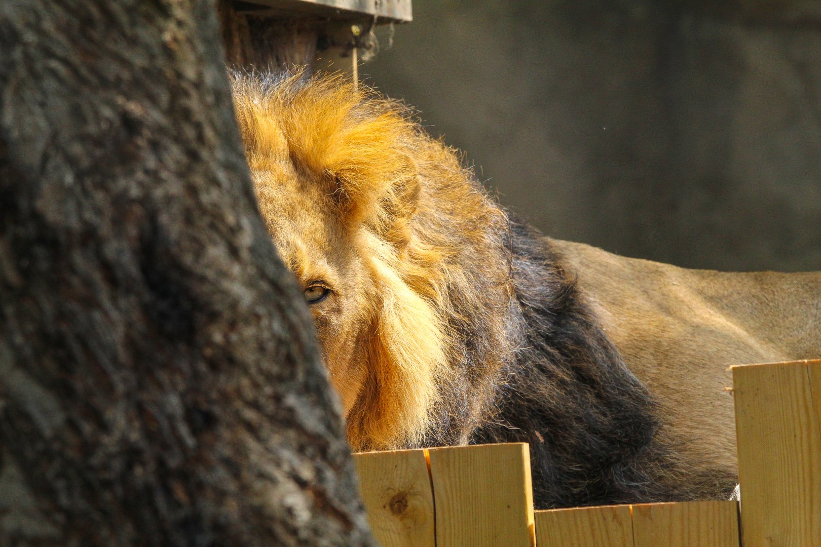 Spotted by Bhanu- 12th May 2025