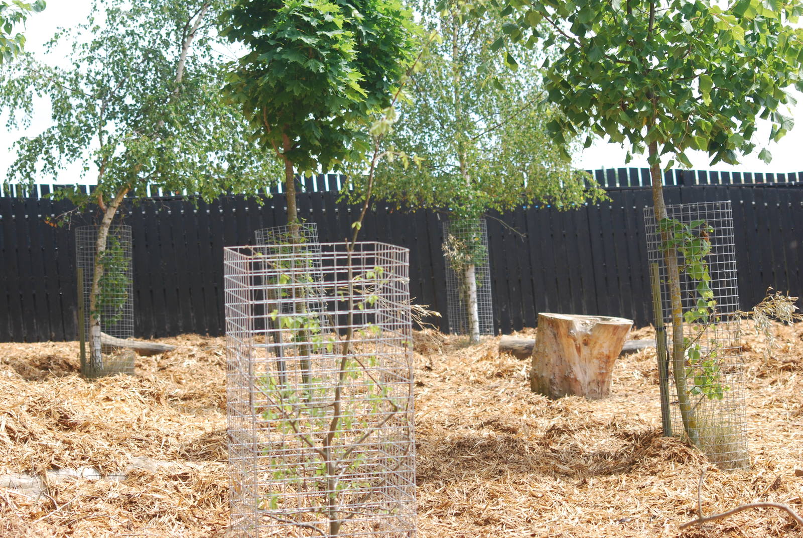 Spotted deer and warty pig enclosure