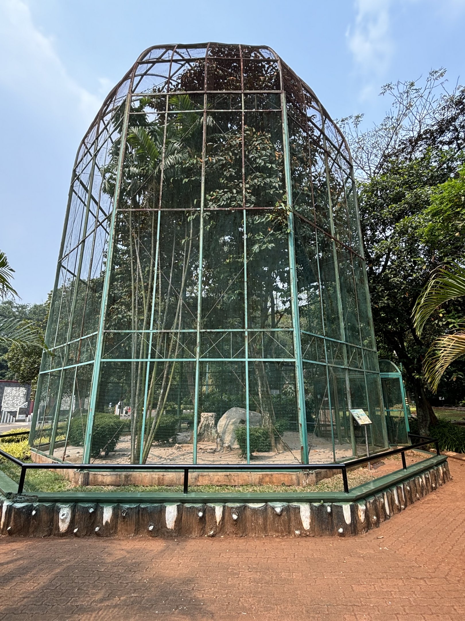 Spotted Dove + Peafowl Aviary