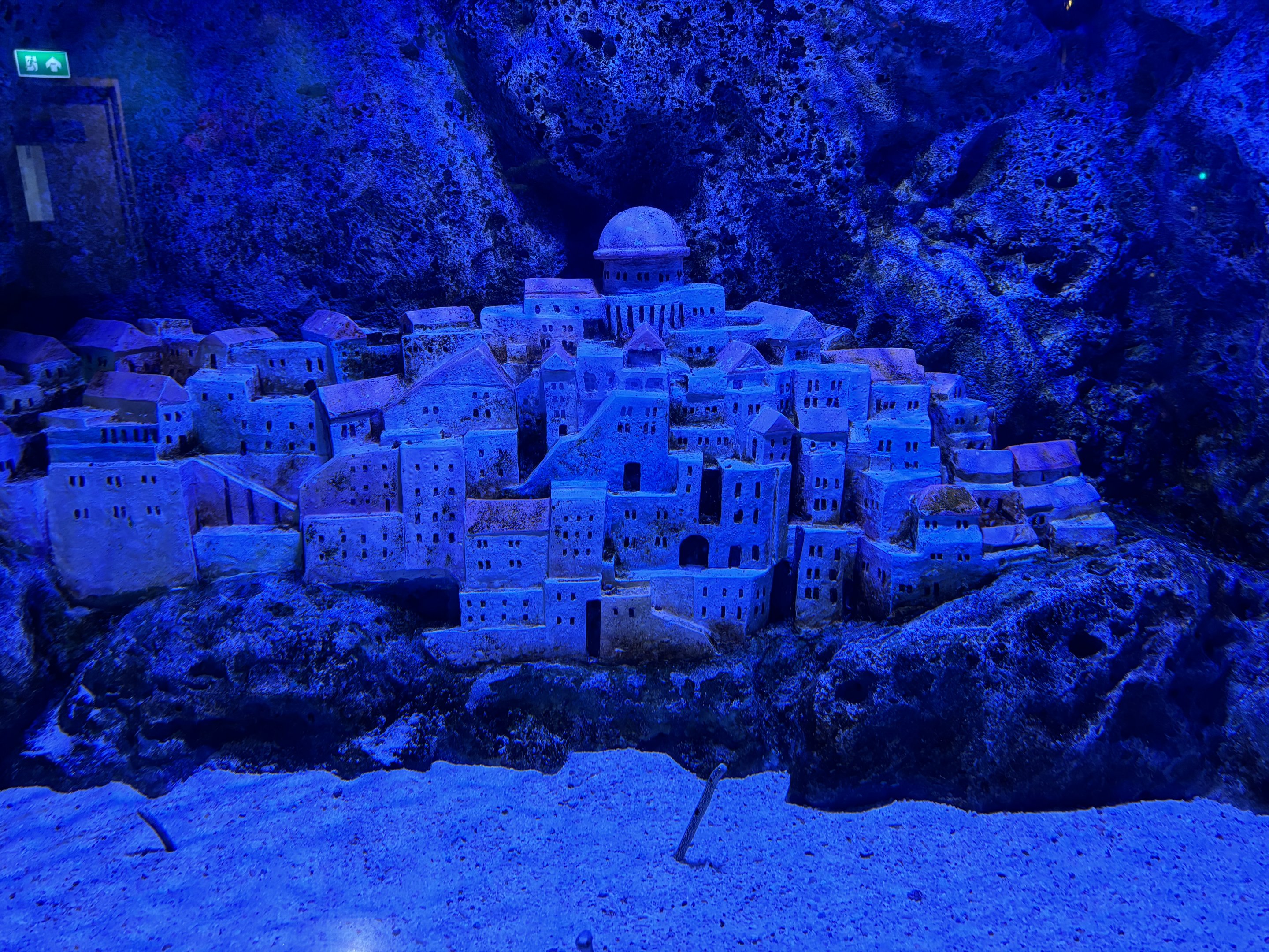 Spotted Garden Eel Exhibit