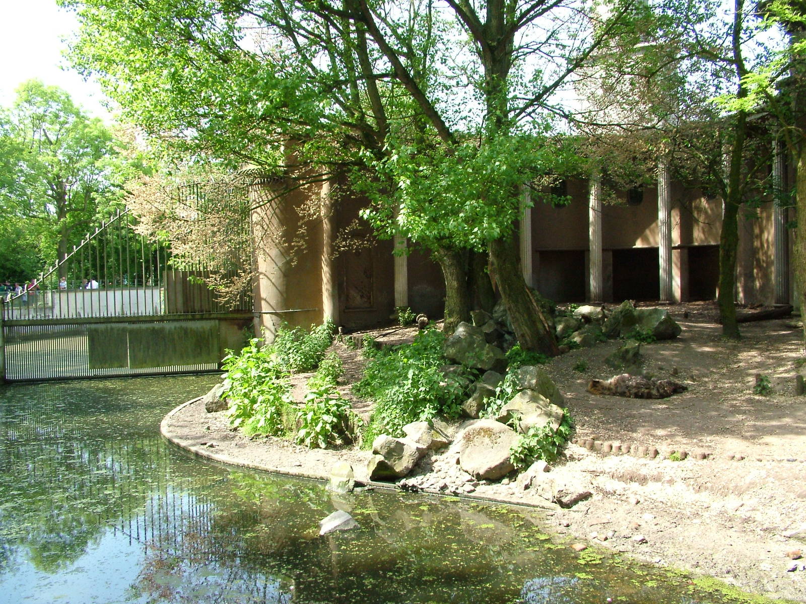 Spotted Hyaena enclosure at Rotterdam 10/05/09
