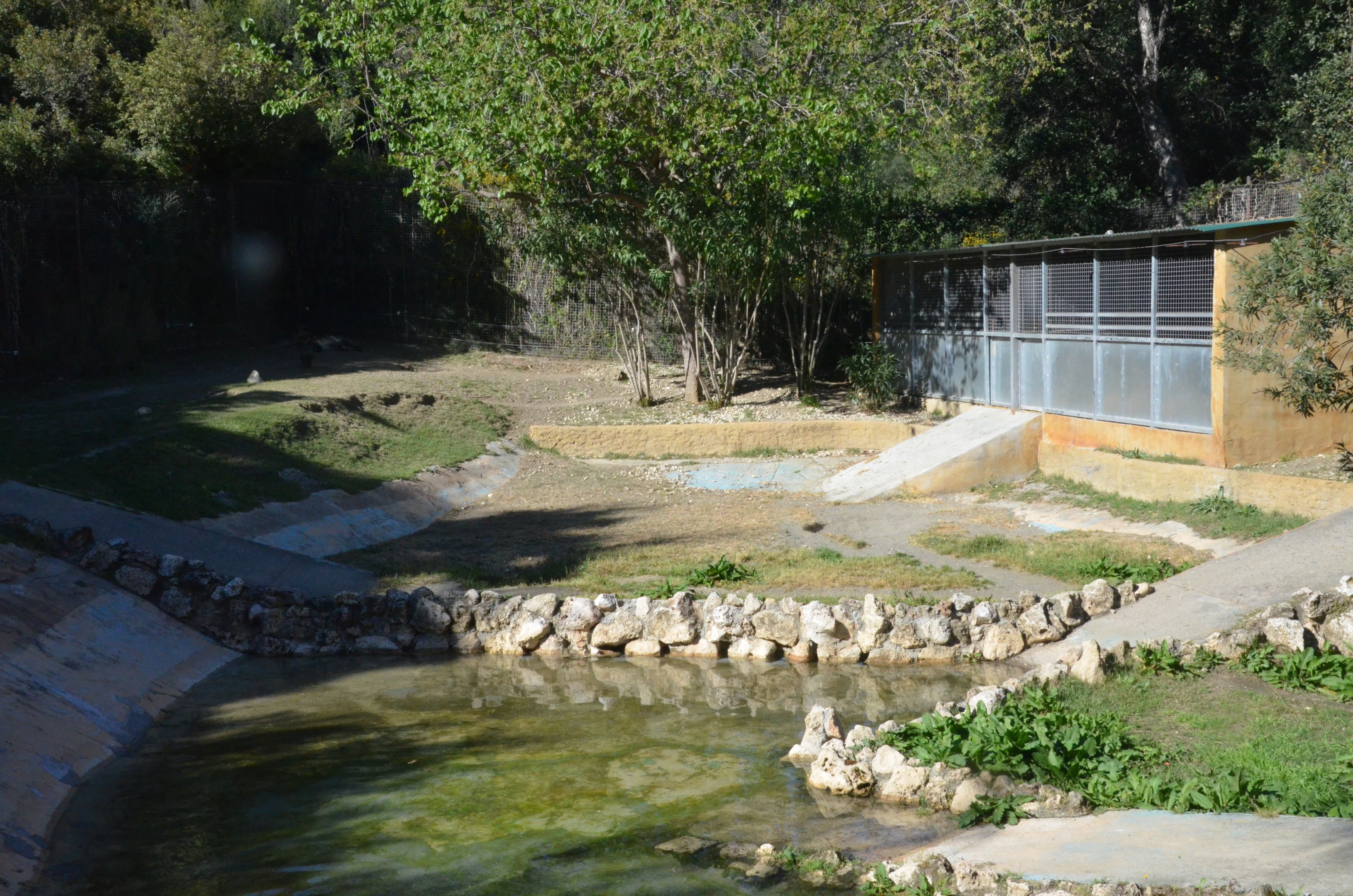Spotted Hyaena Enclosure at Selwo Aventura, 13/03/19