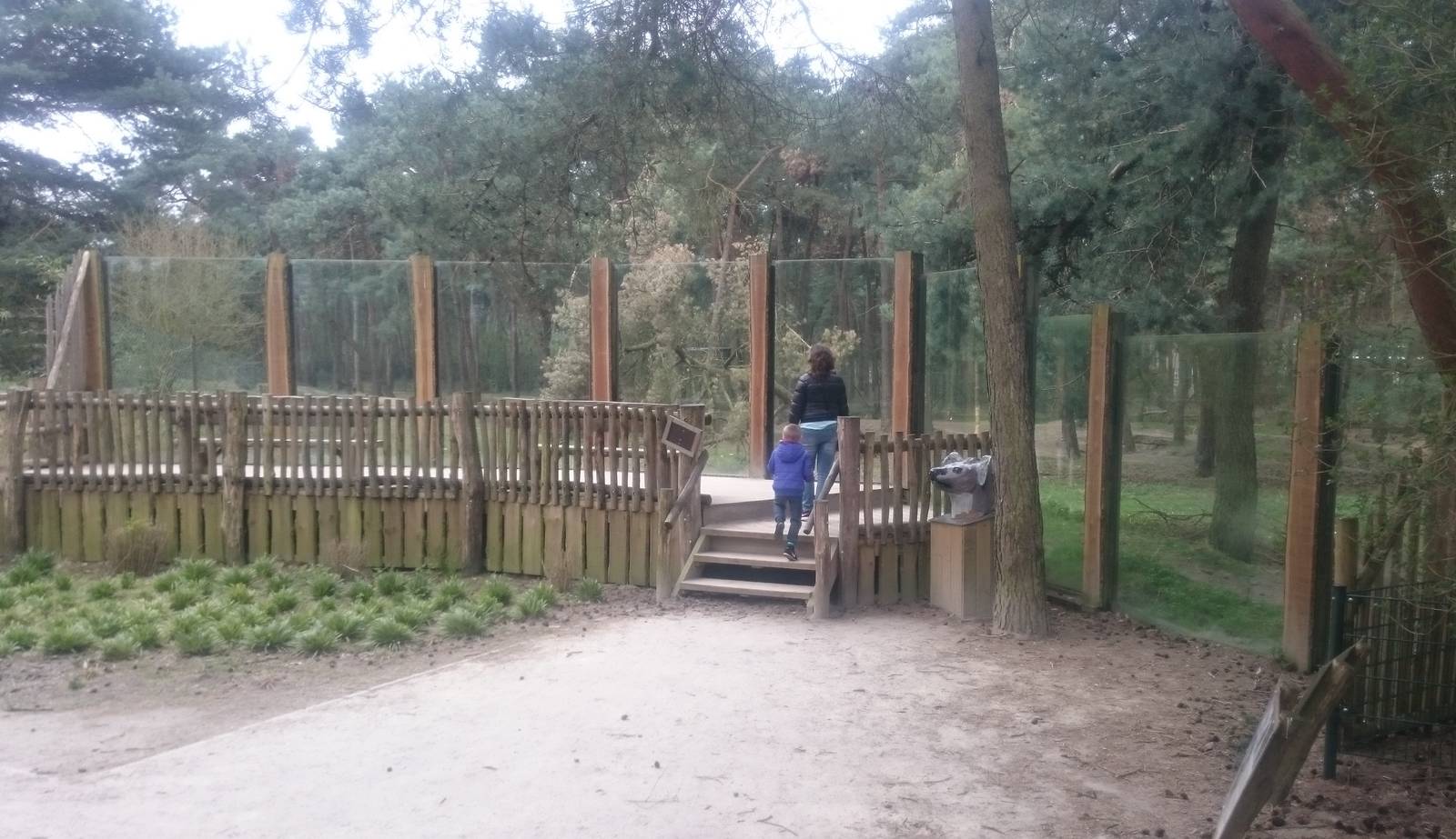 Spotted hyana viewing point