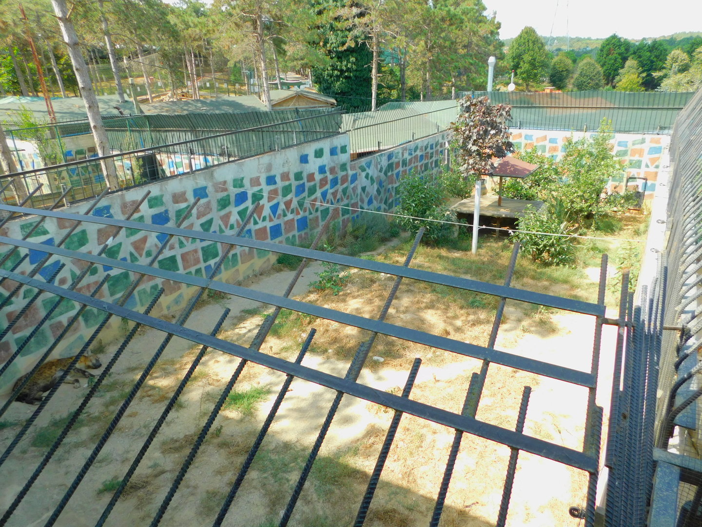 Spotted Hyena Enclosure at Park Of Istanbul