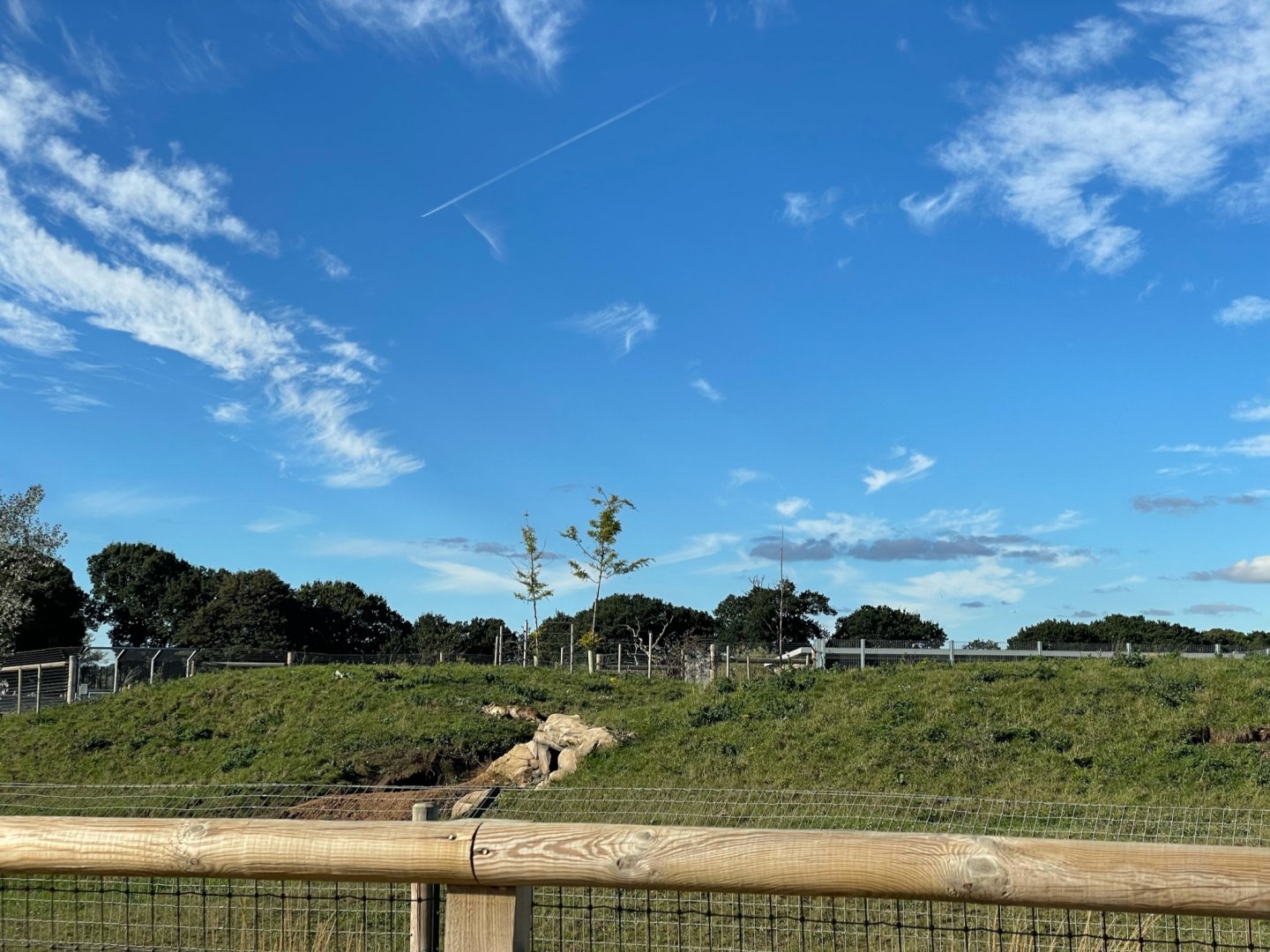 Spotted Hyena Enclosure at Yorkshire Wildlife Park (October 2021)