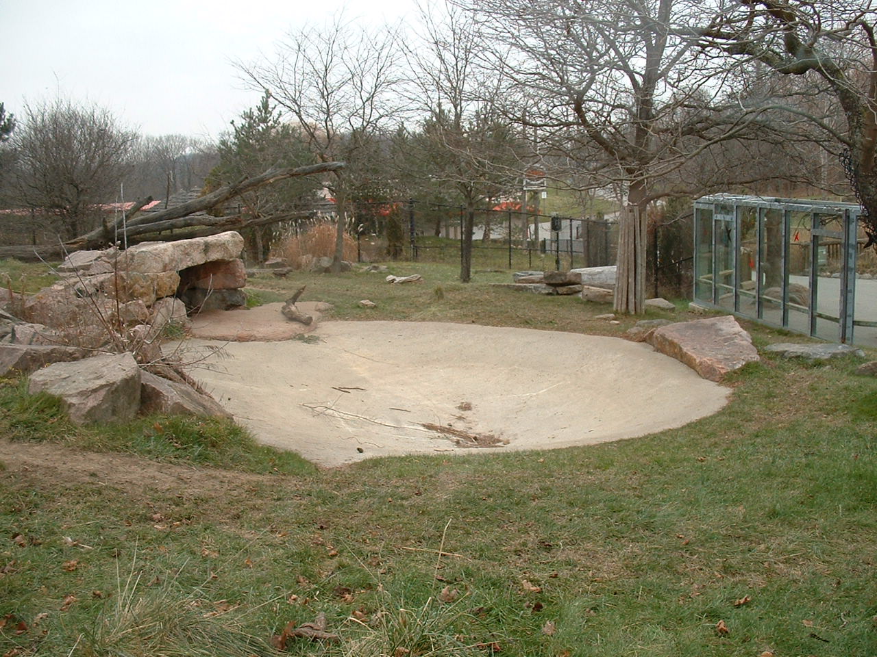 Spotted Hyena Enclosure - Nov 2012