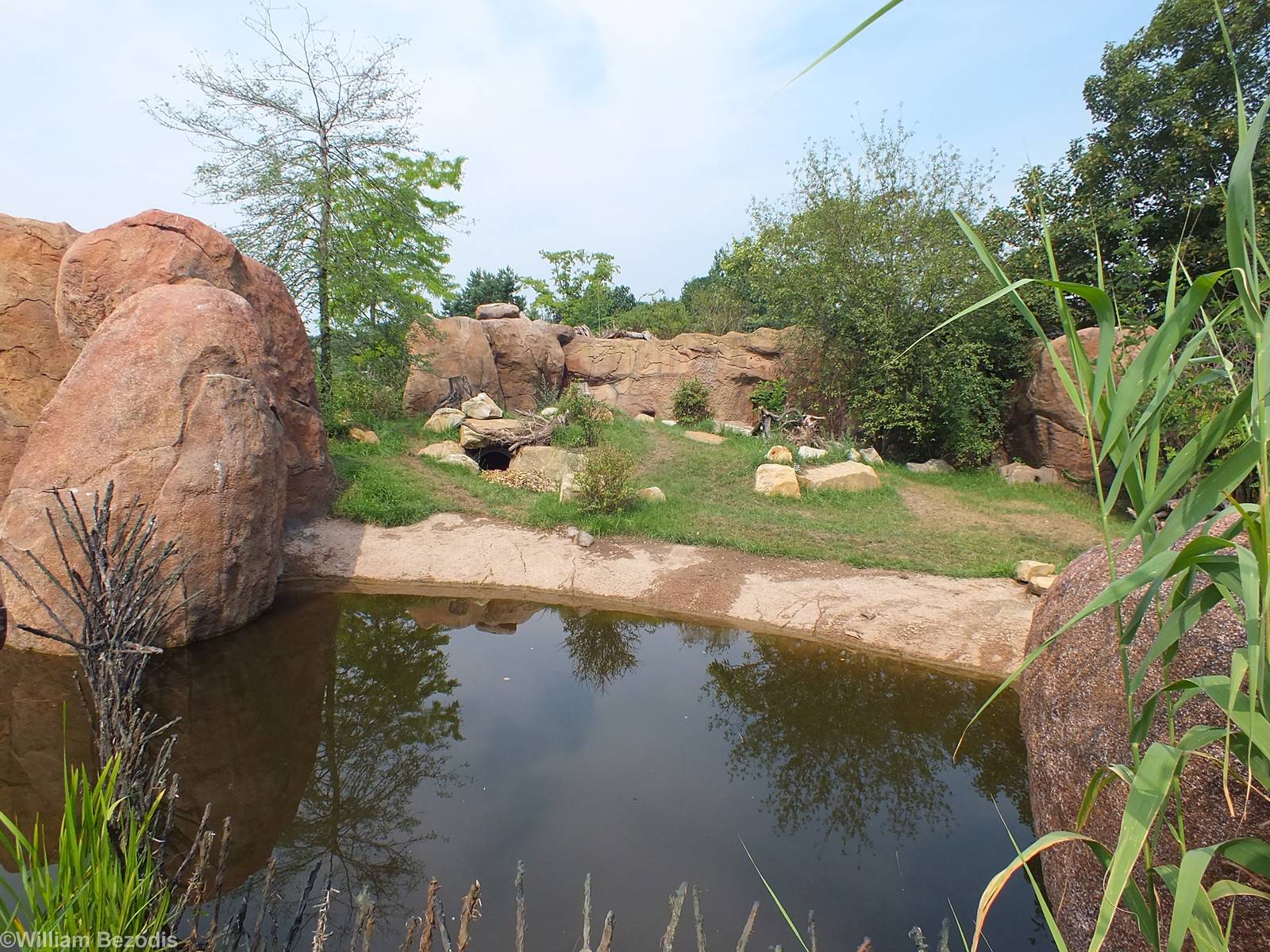 Spotted Hyena Enclosure