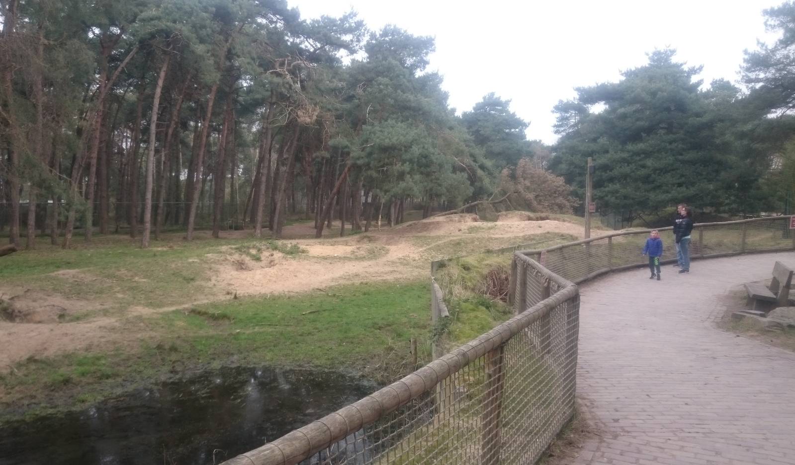 Spotted hyena enclosure