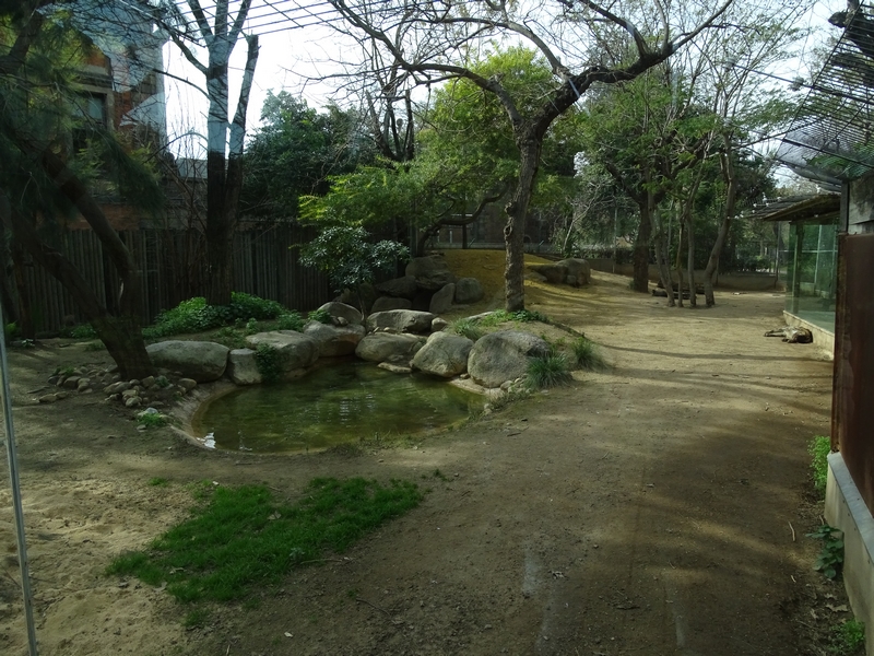 Spotted hyena enclosure