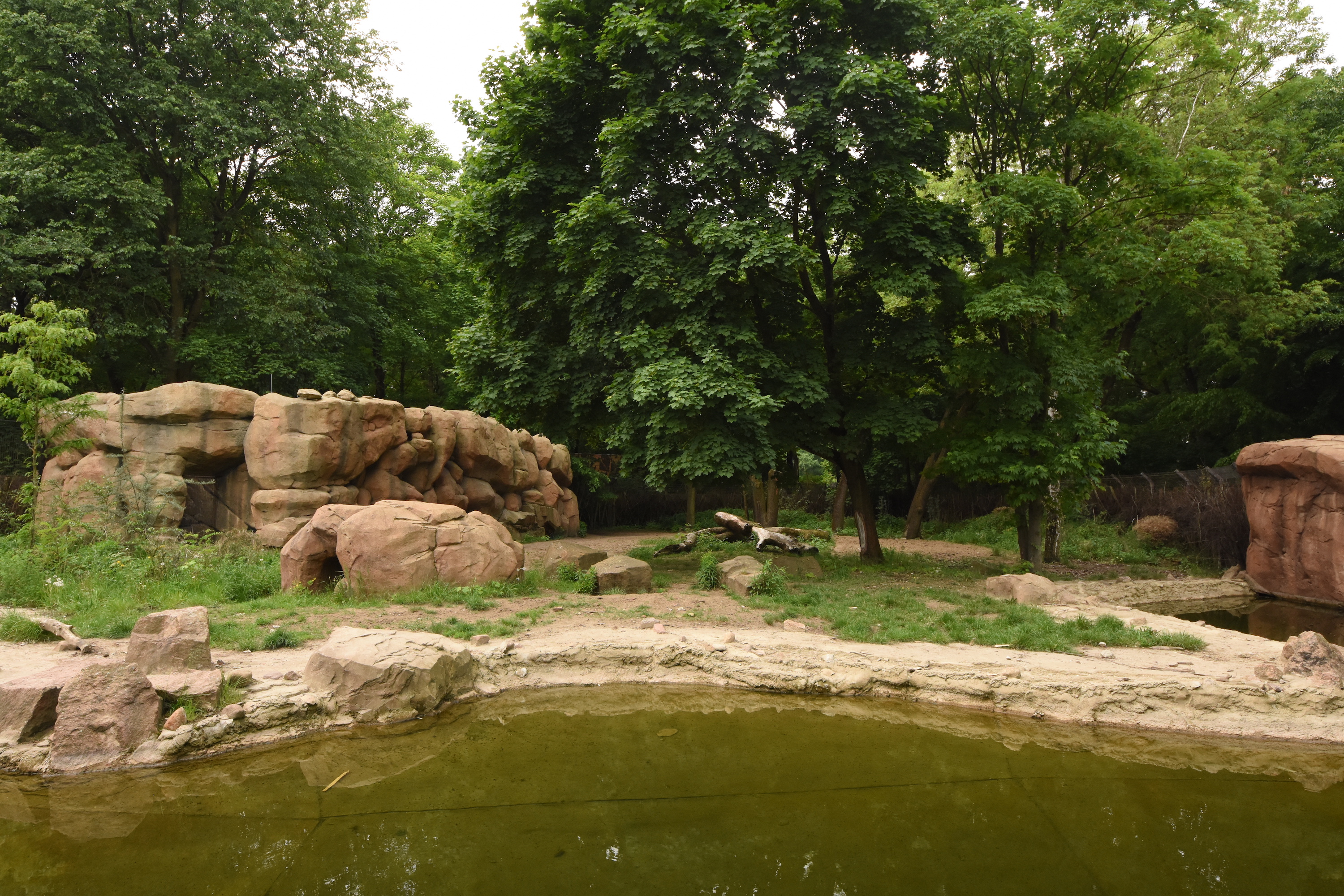 Spotted hyena enclosure