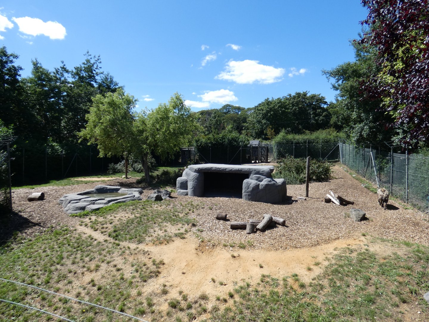 Spotted Hyena enclosure