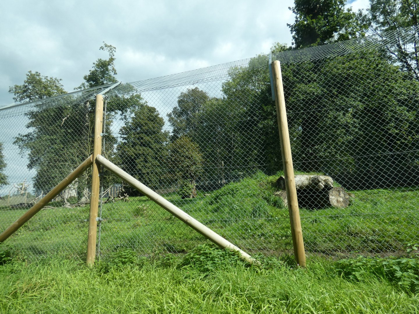 Spotted Hyena enclosure