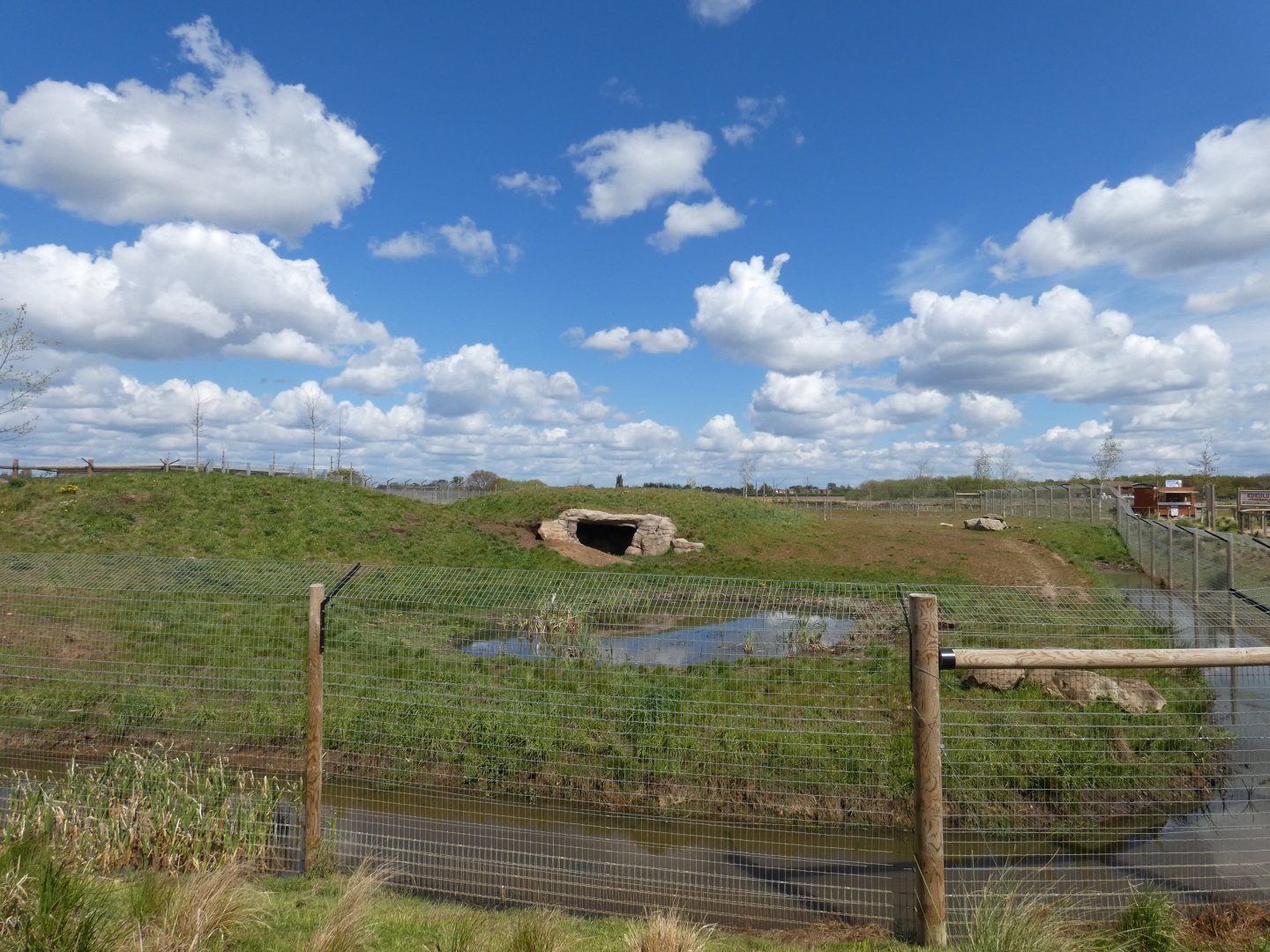 Spotted hyena enclosure