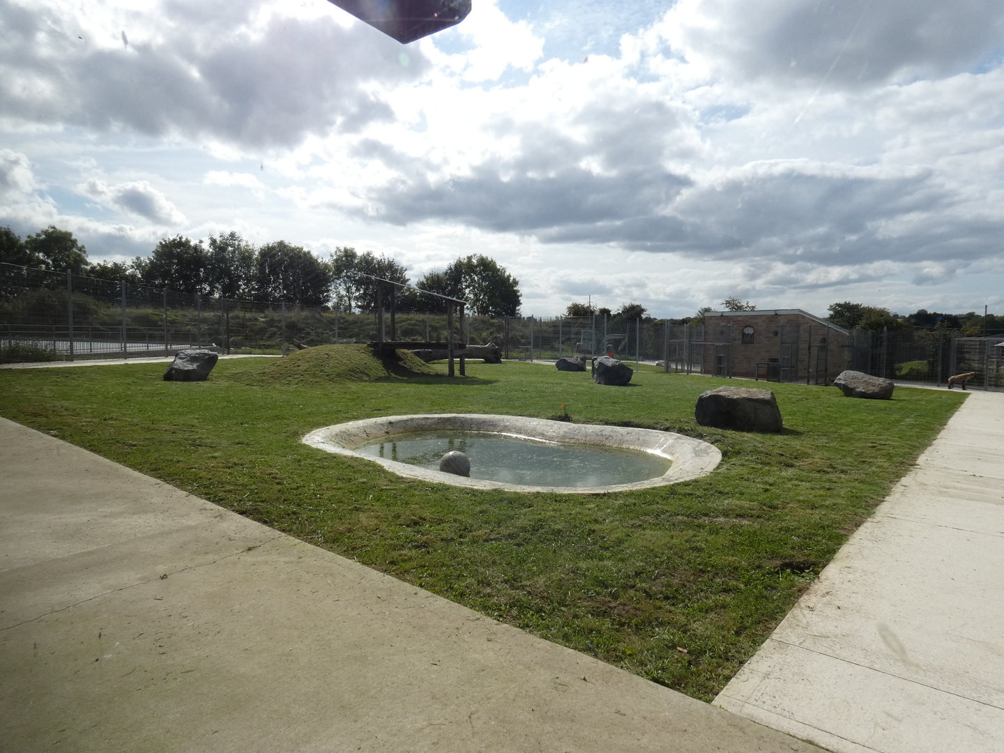 Spotted hyena enclosure