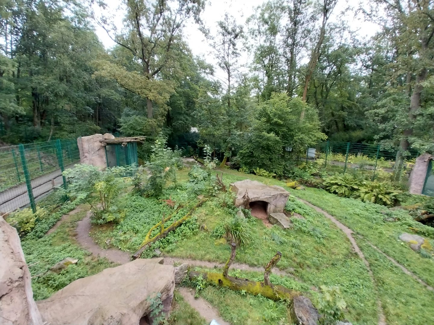 Spotted hyena enclosure