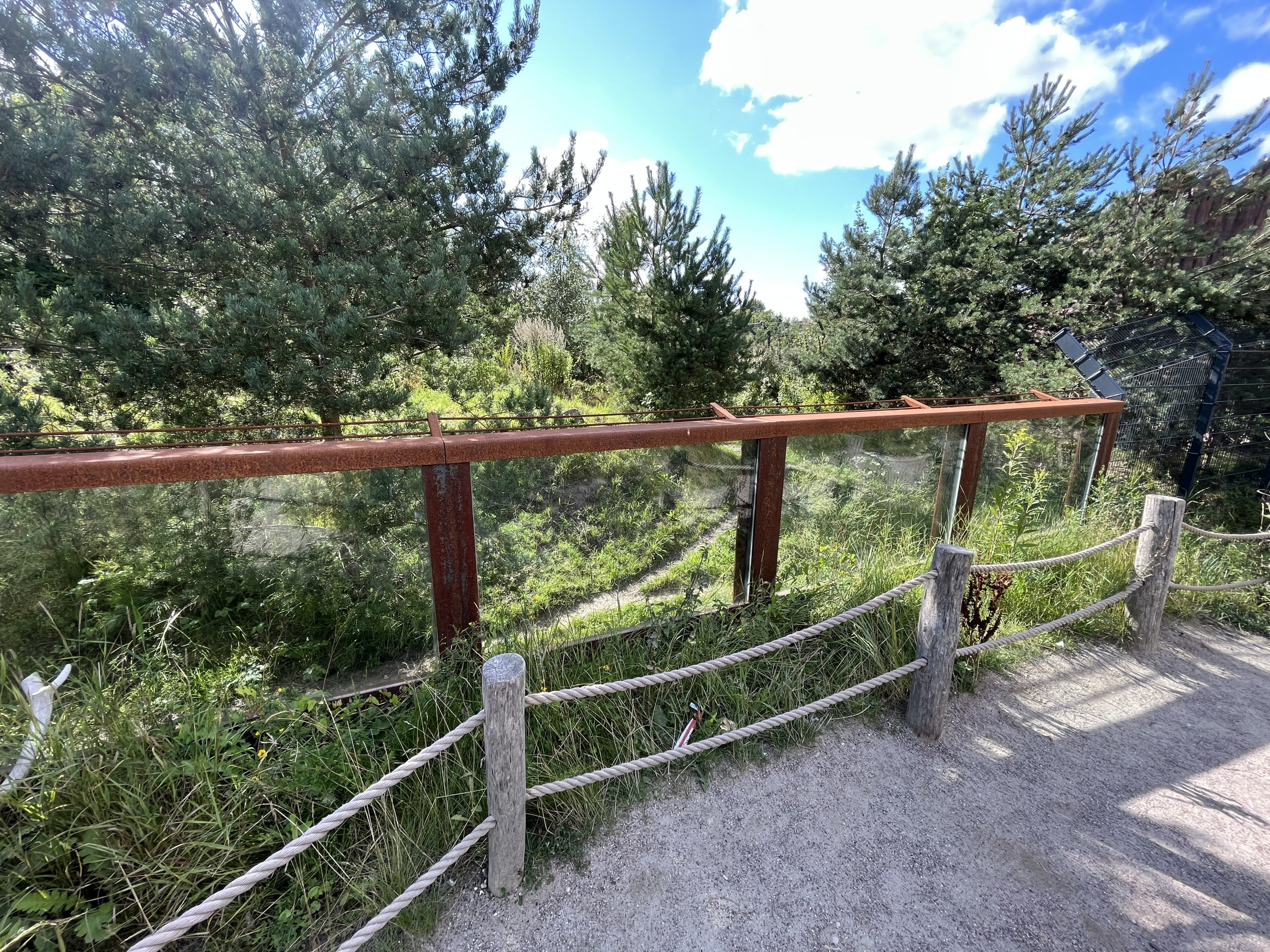 Spotted Hyena Exhibit #1