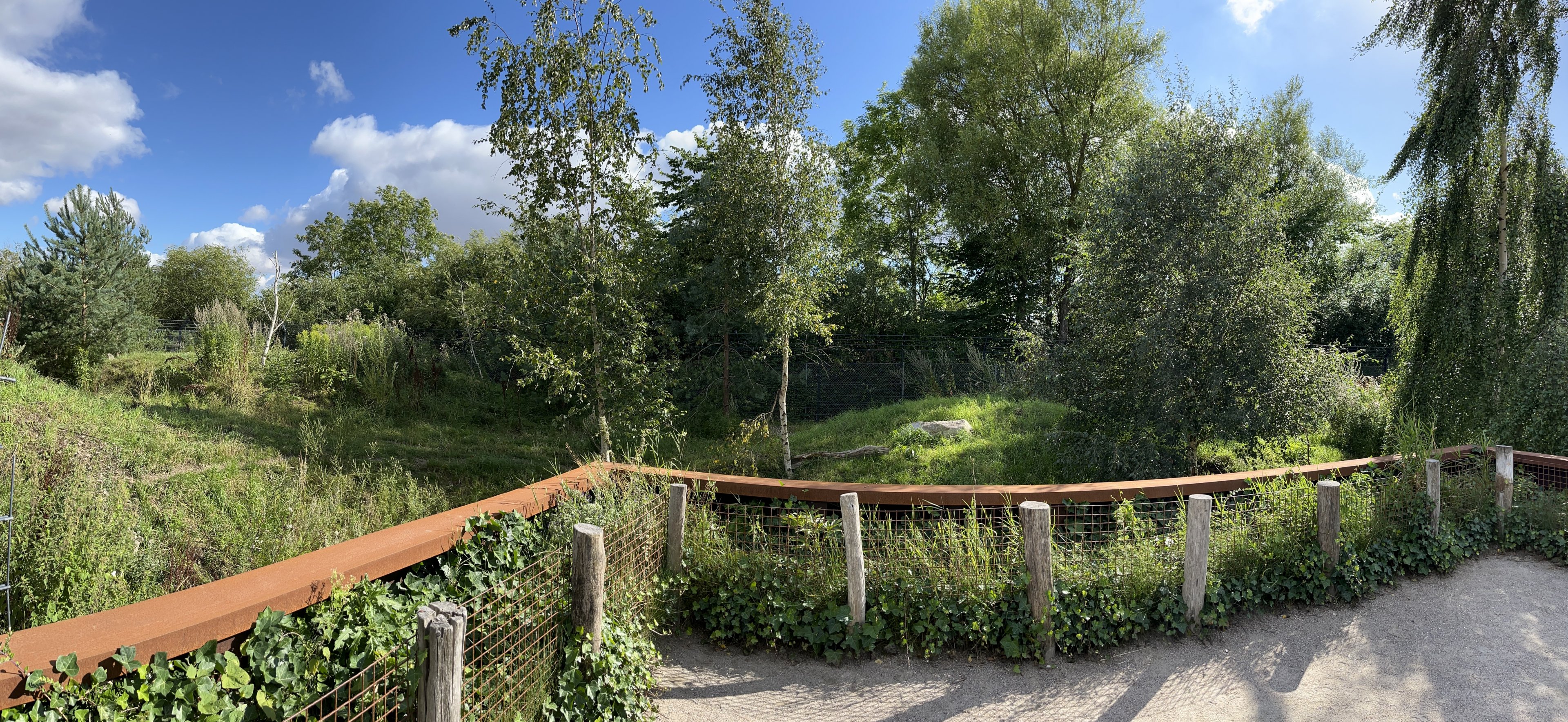 Spotted Hyena Exhibit #1