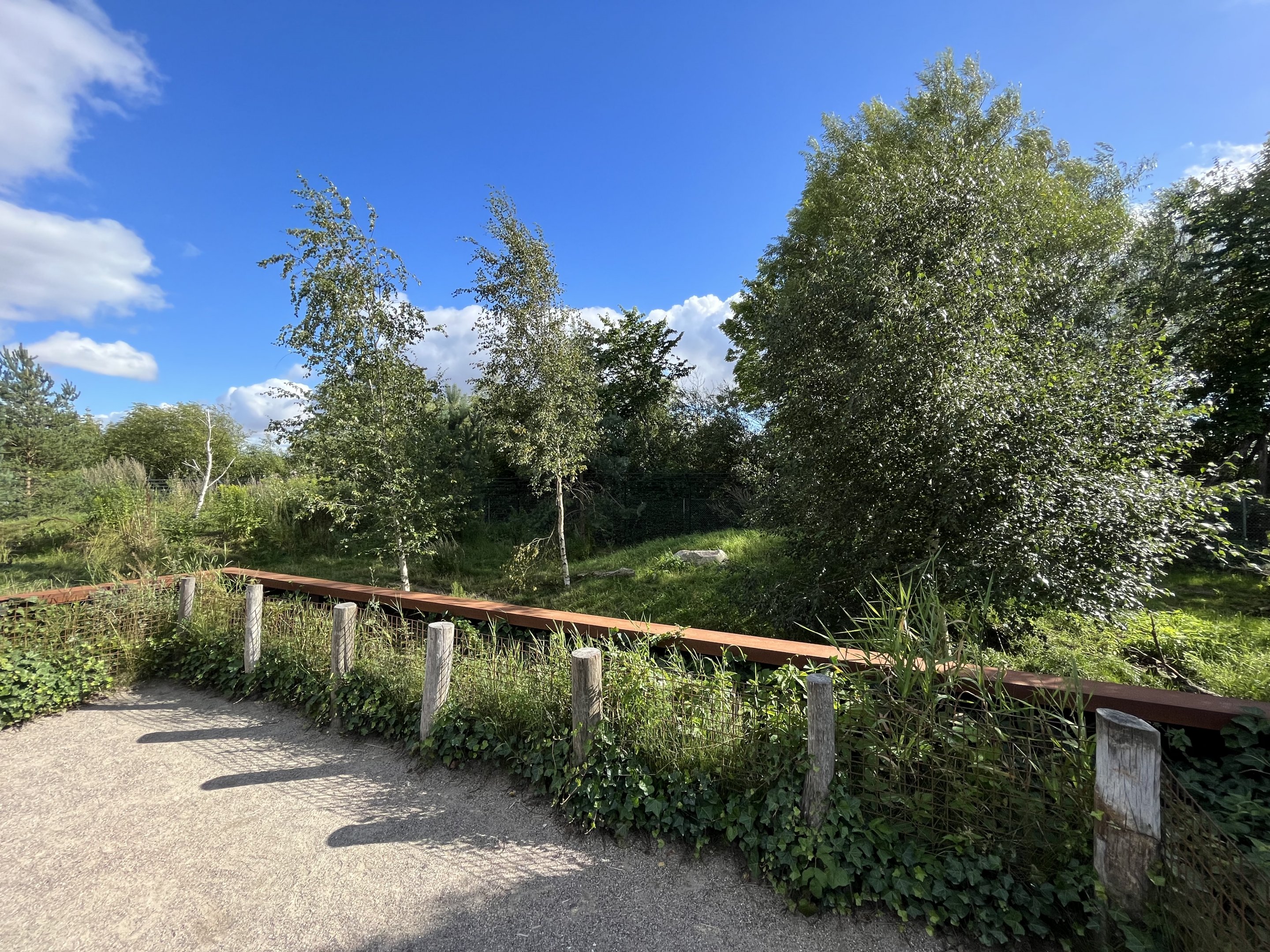 Spotted Hyena Exhibit #1