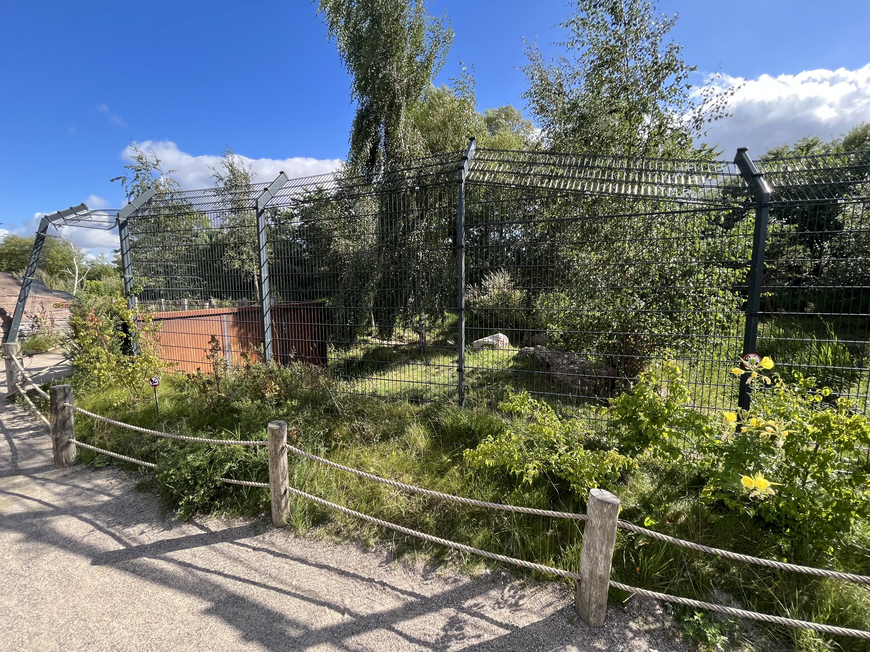 Spotted Hyena Exhibit #2