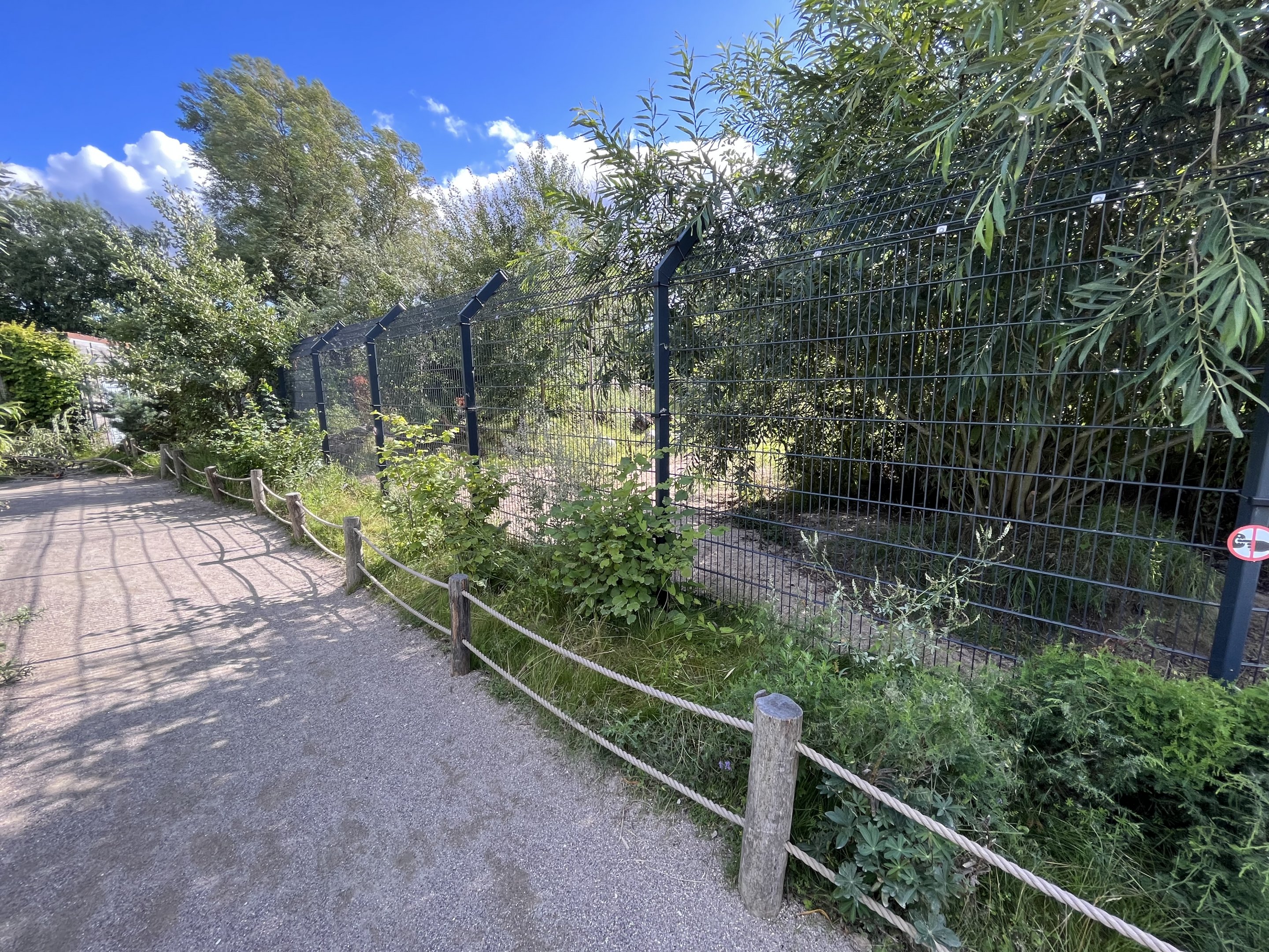 Spotted Hyena Exhibit #2