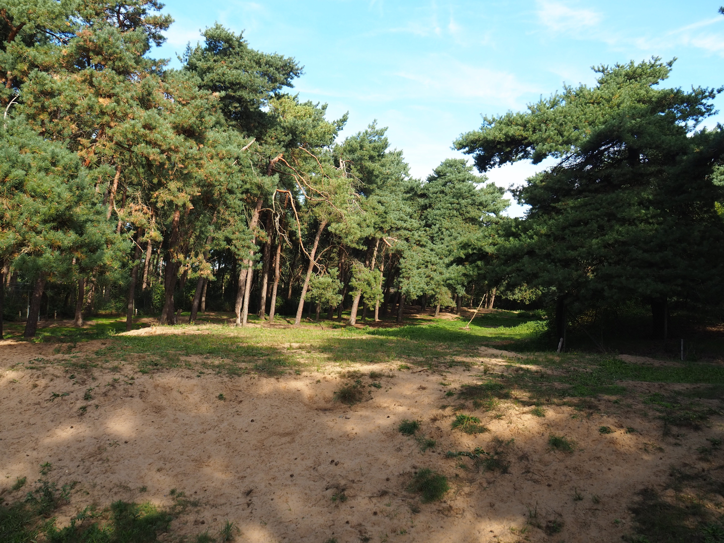 Spotted hyena exhibit, 2019-09-15