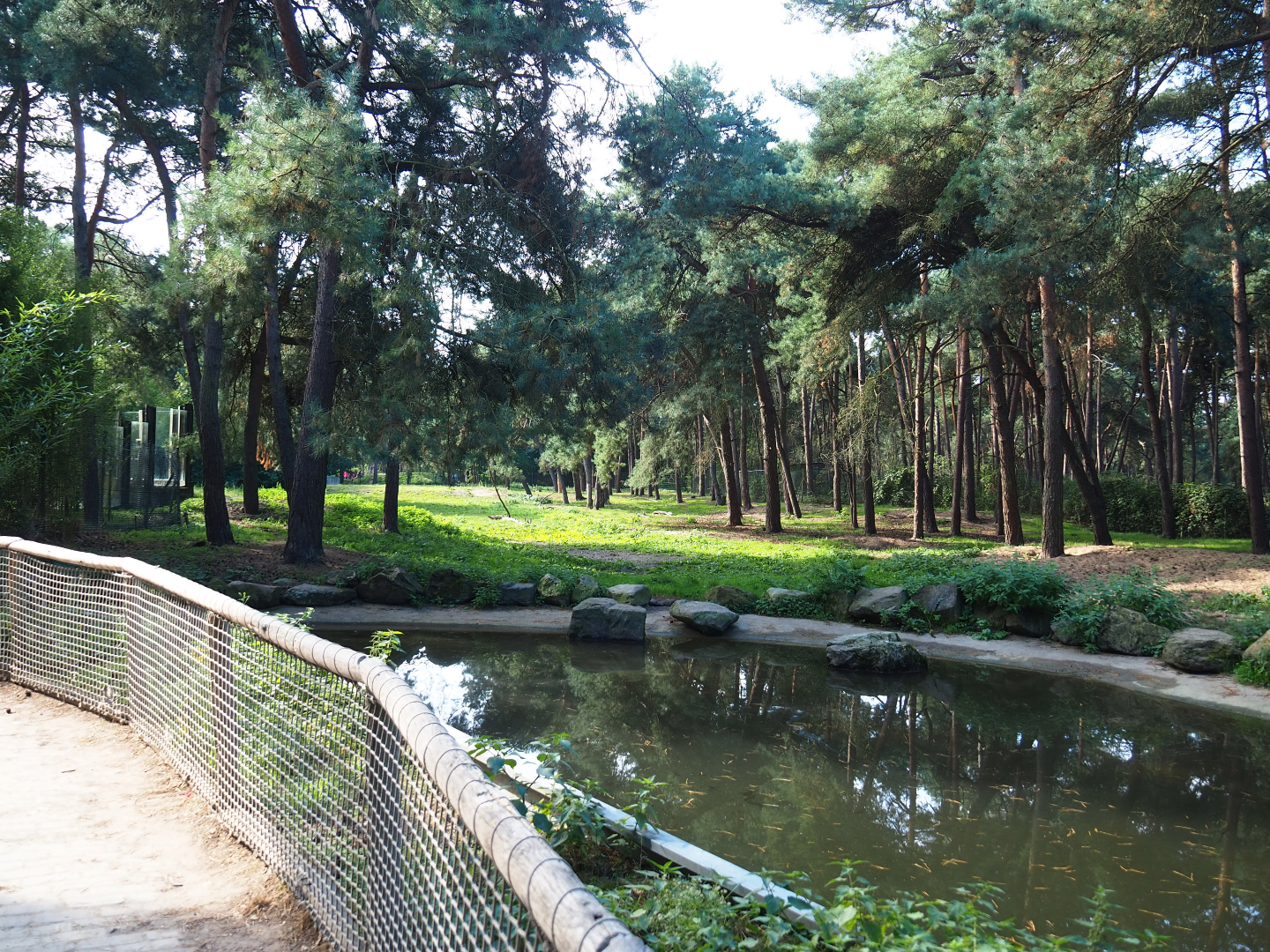 Spotted hyena exhibit, 2019-09-15