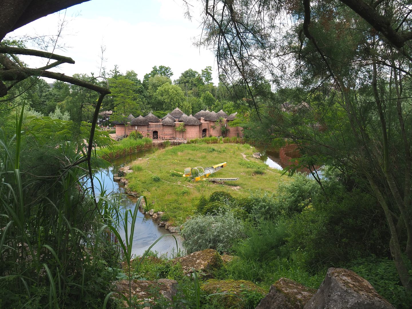 Spotted hyena exhibit, 2022-06-28