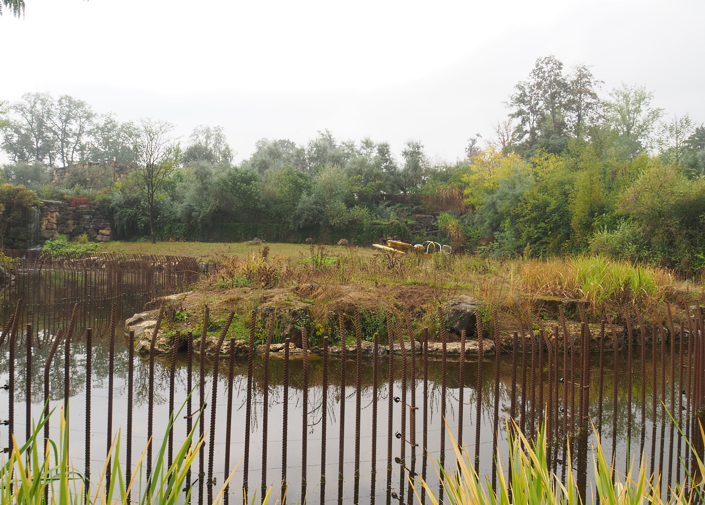 Spotted hyena exhibit, 2022-09-15