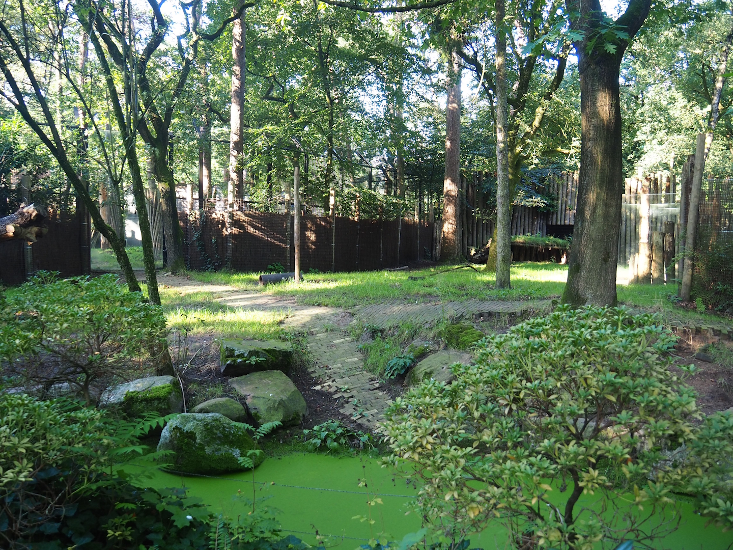 Spotted hyena exhibit, 2023-09-24