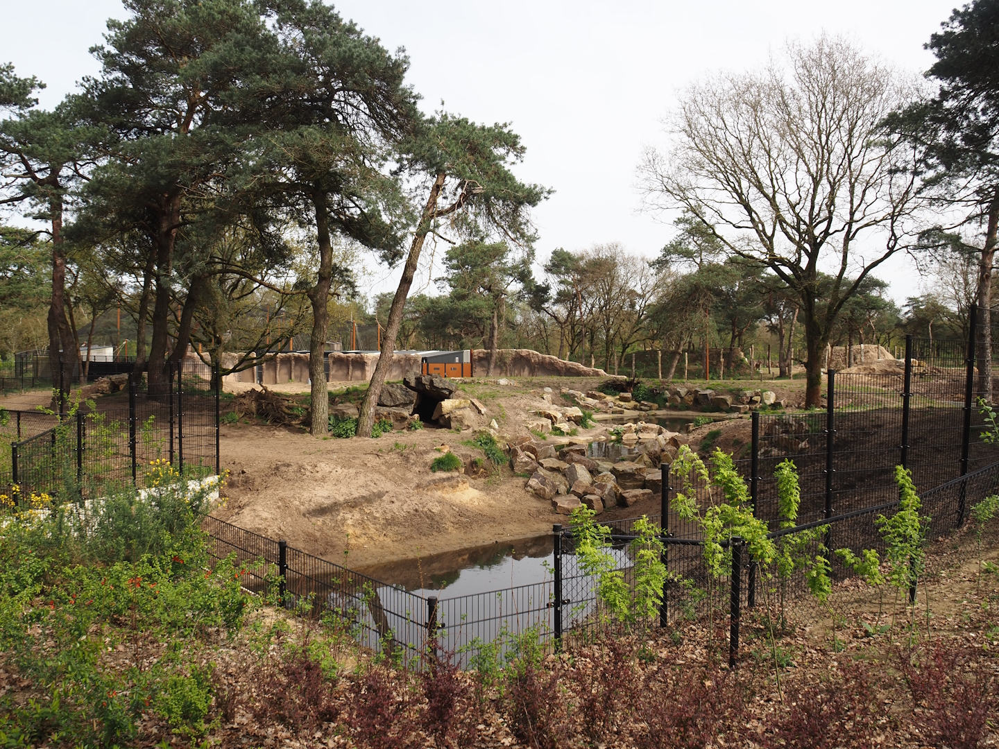 Spotted hyena exhibit, 2024-04-06
