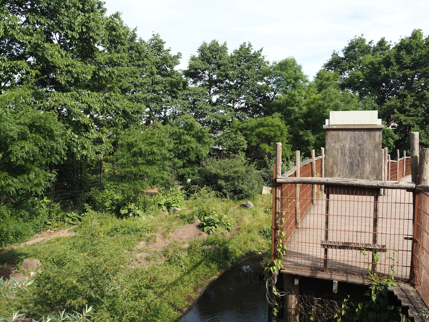 Spotted hyena exhibit and viewing area, 2024-06-30