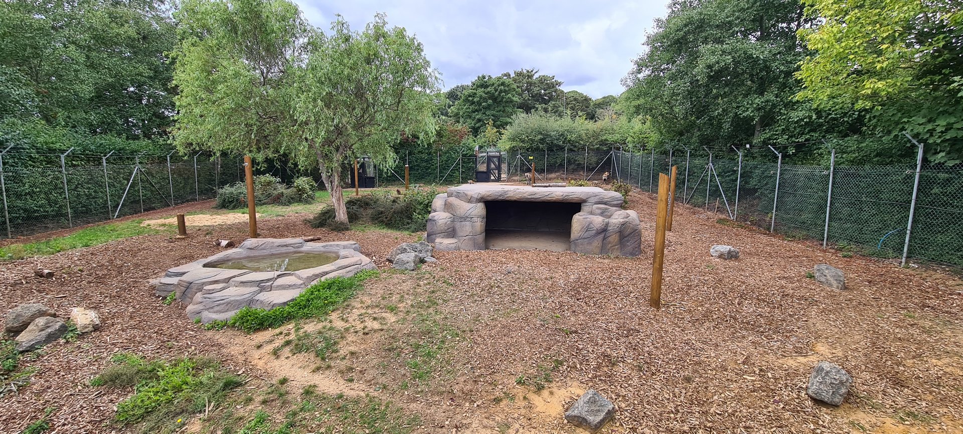 Spotted Hyena exhibit, Colchester Zoo