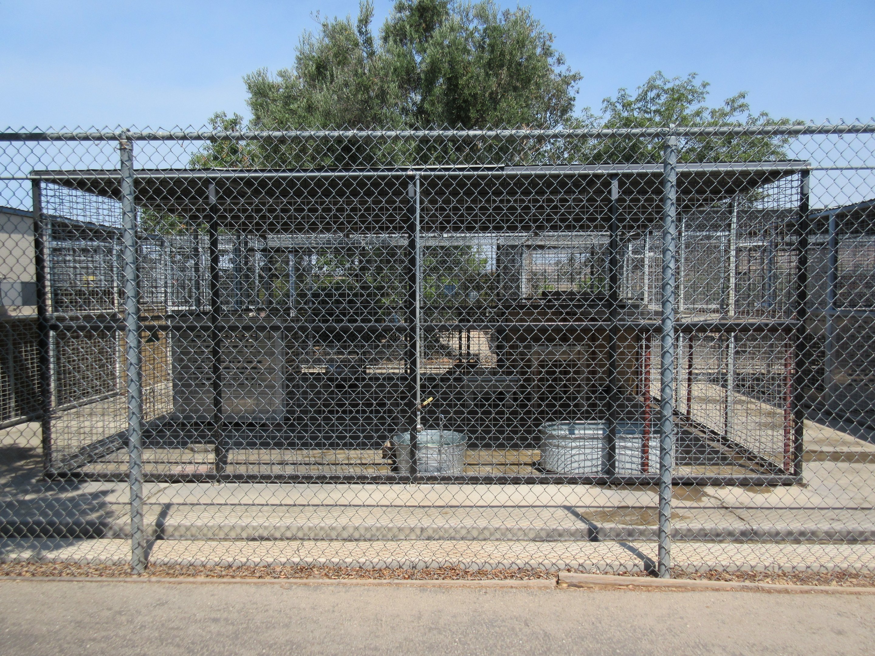 Spotted Hyena Exhibit (one of several nasty-looking little carnivore cages)