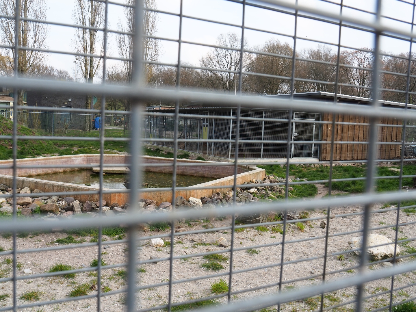 Spotted hyena exhibit - Pool and holding building, 2019-04-06