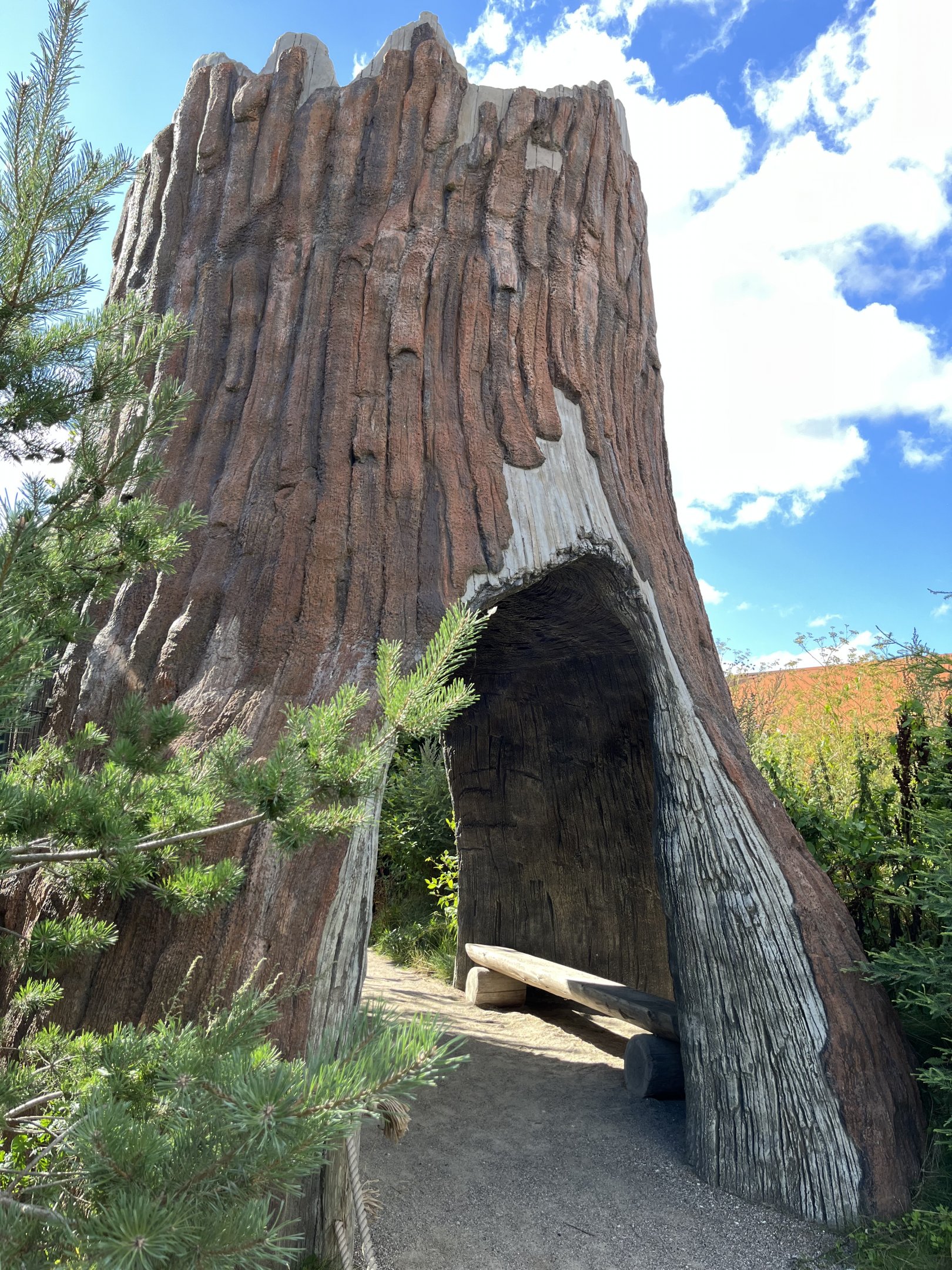 Spotted Hyena Exhibit - Tree Overlook