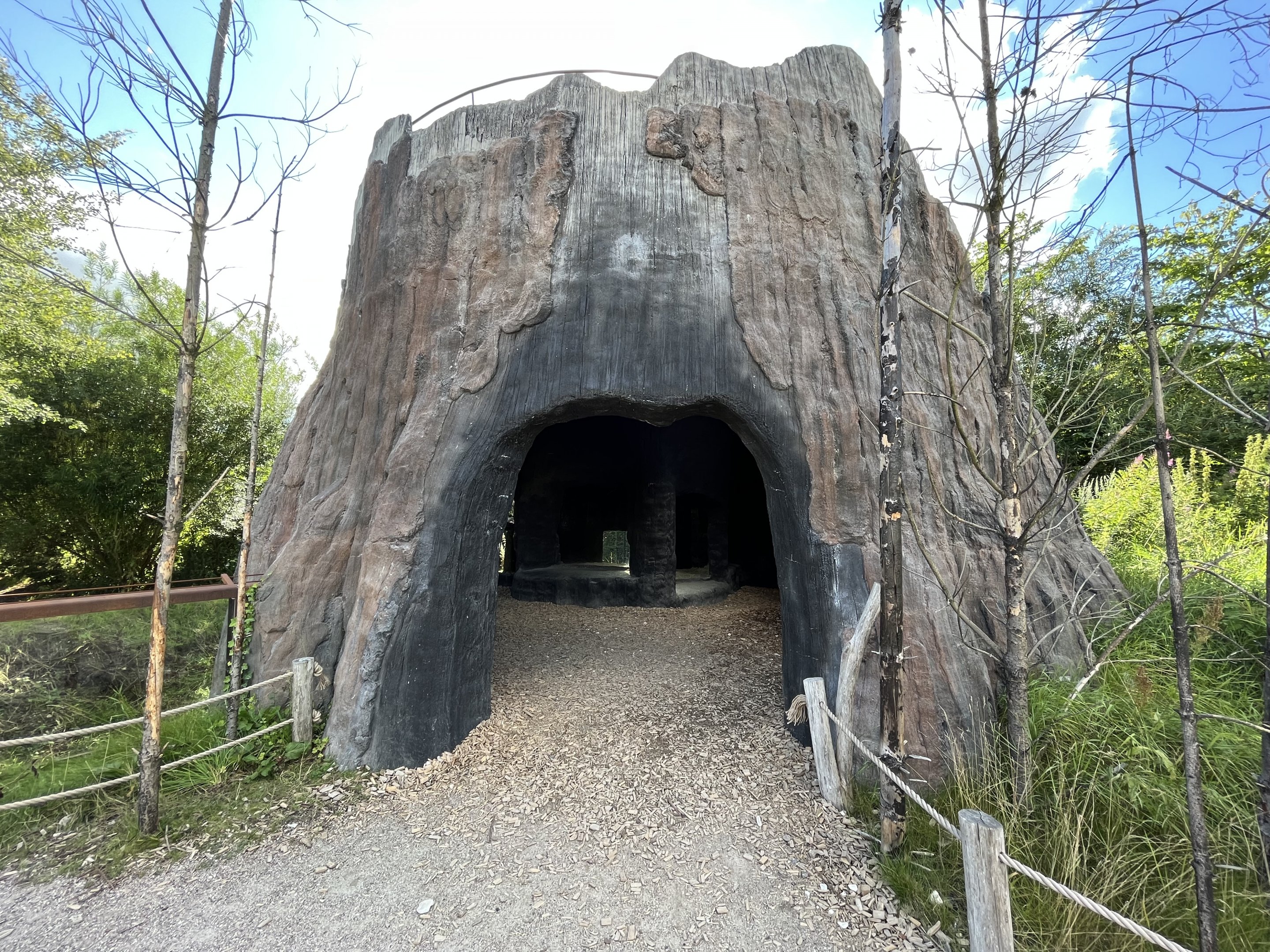 Spotted Hyena Exhibit - tree overlook