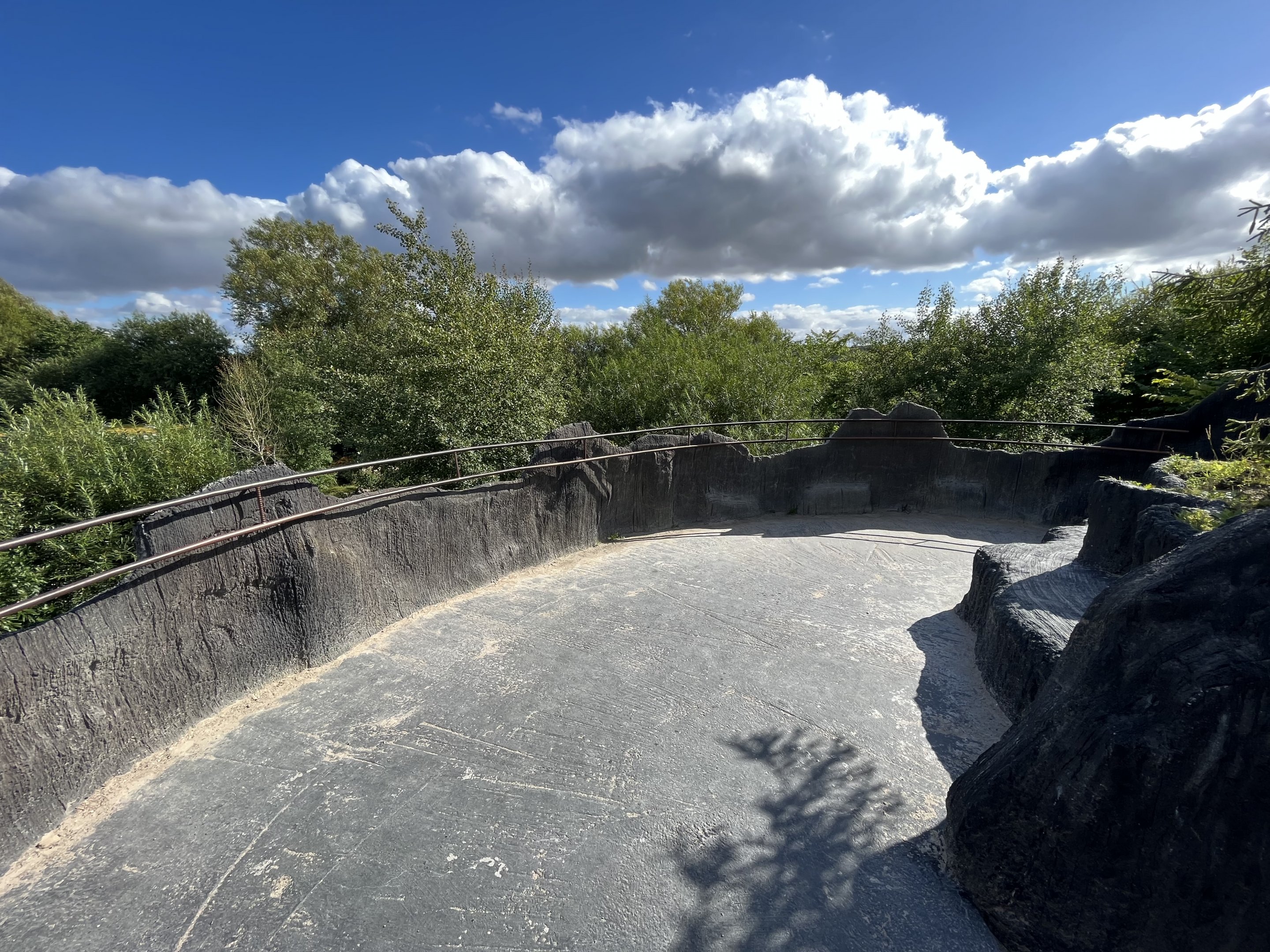 Spotted Hyena Exhibit - tree overlook