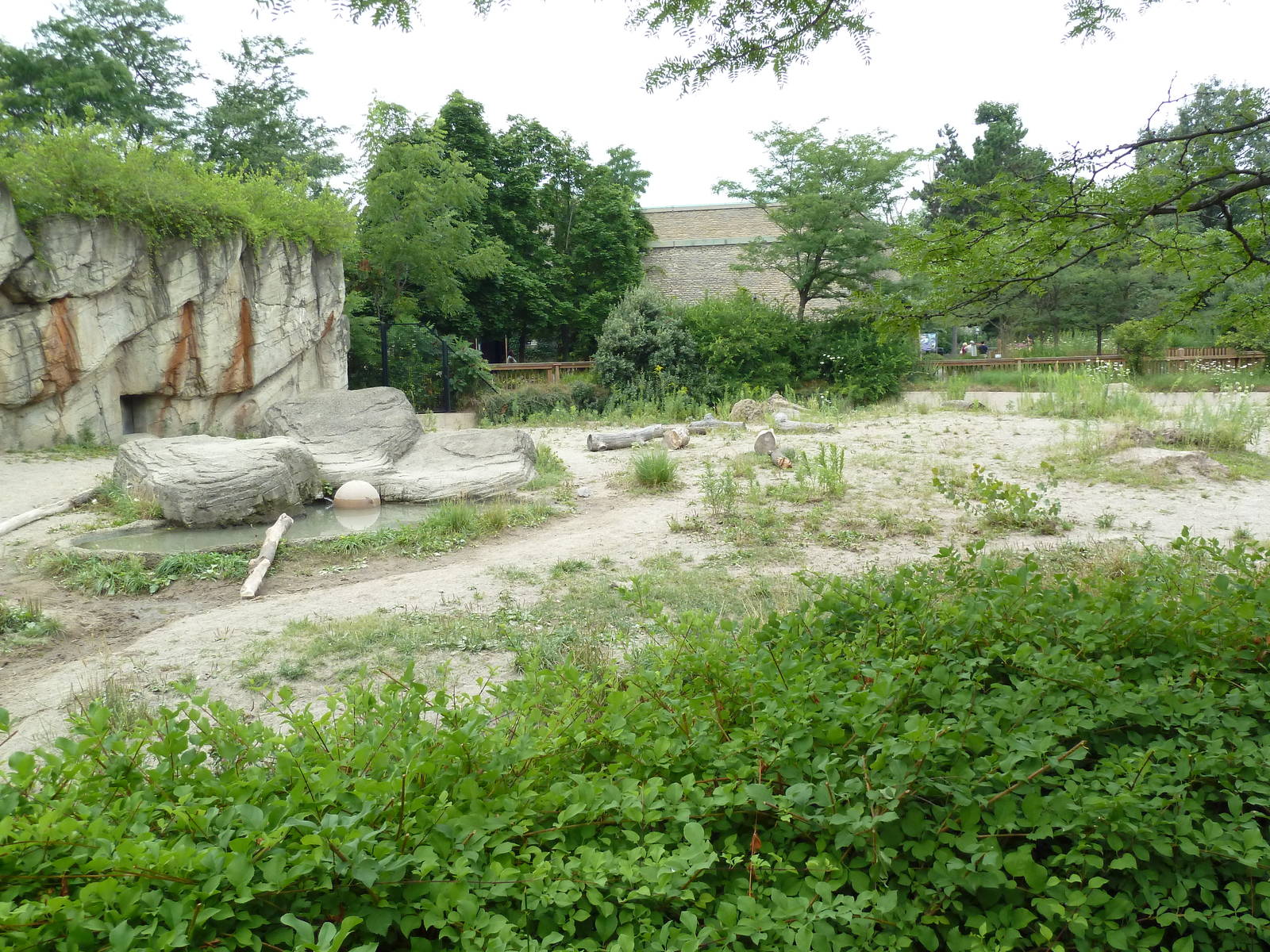 Spotted Hyena Exhibit