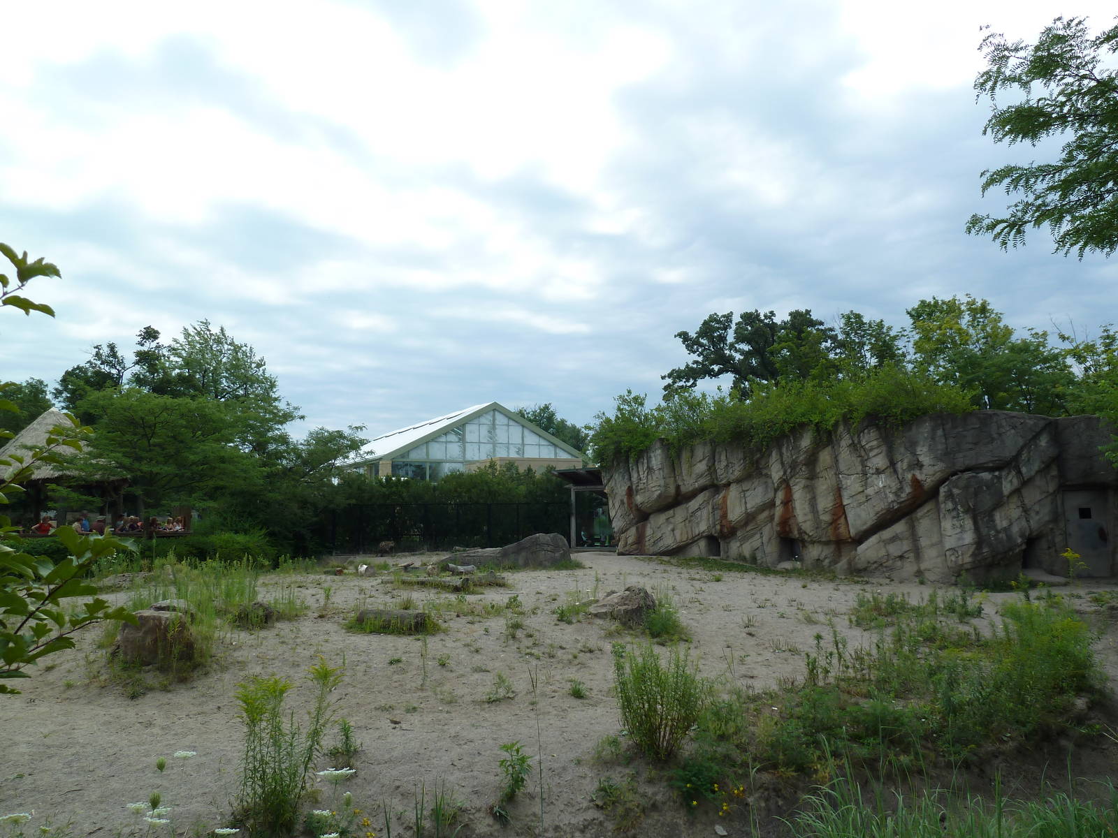 Spotted Hyena Exhibit