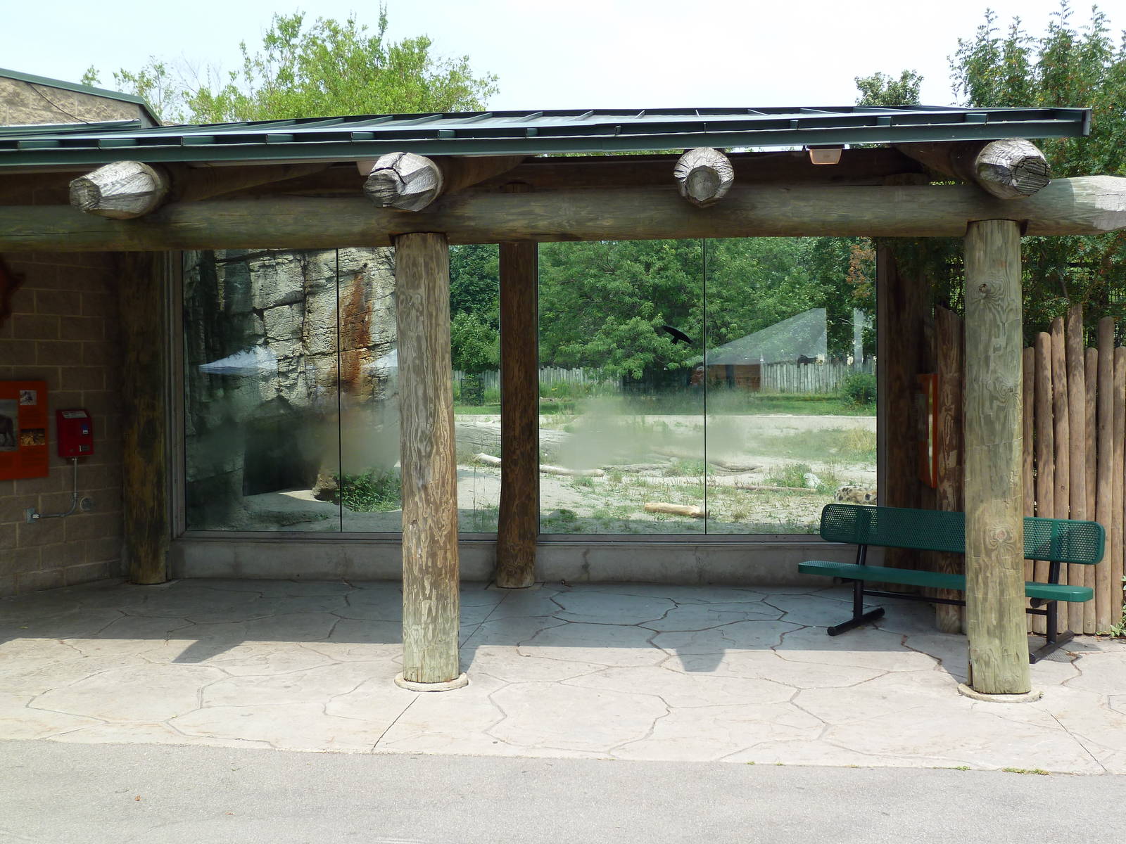 Spotted Hyena Exhibit