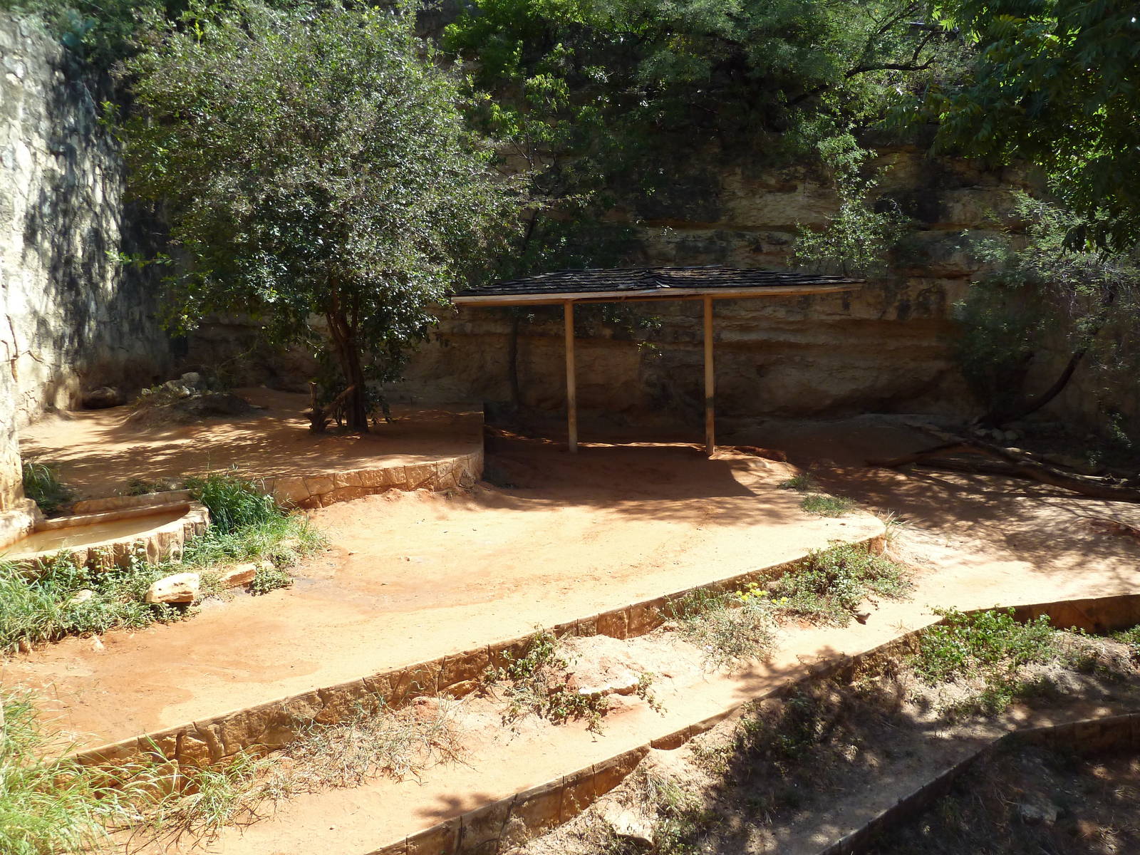 Spotted Hyena Exhibit