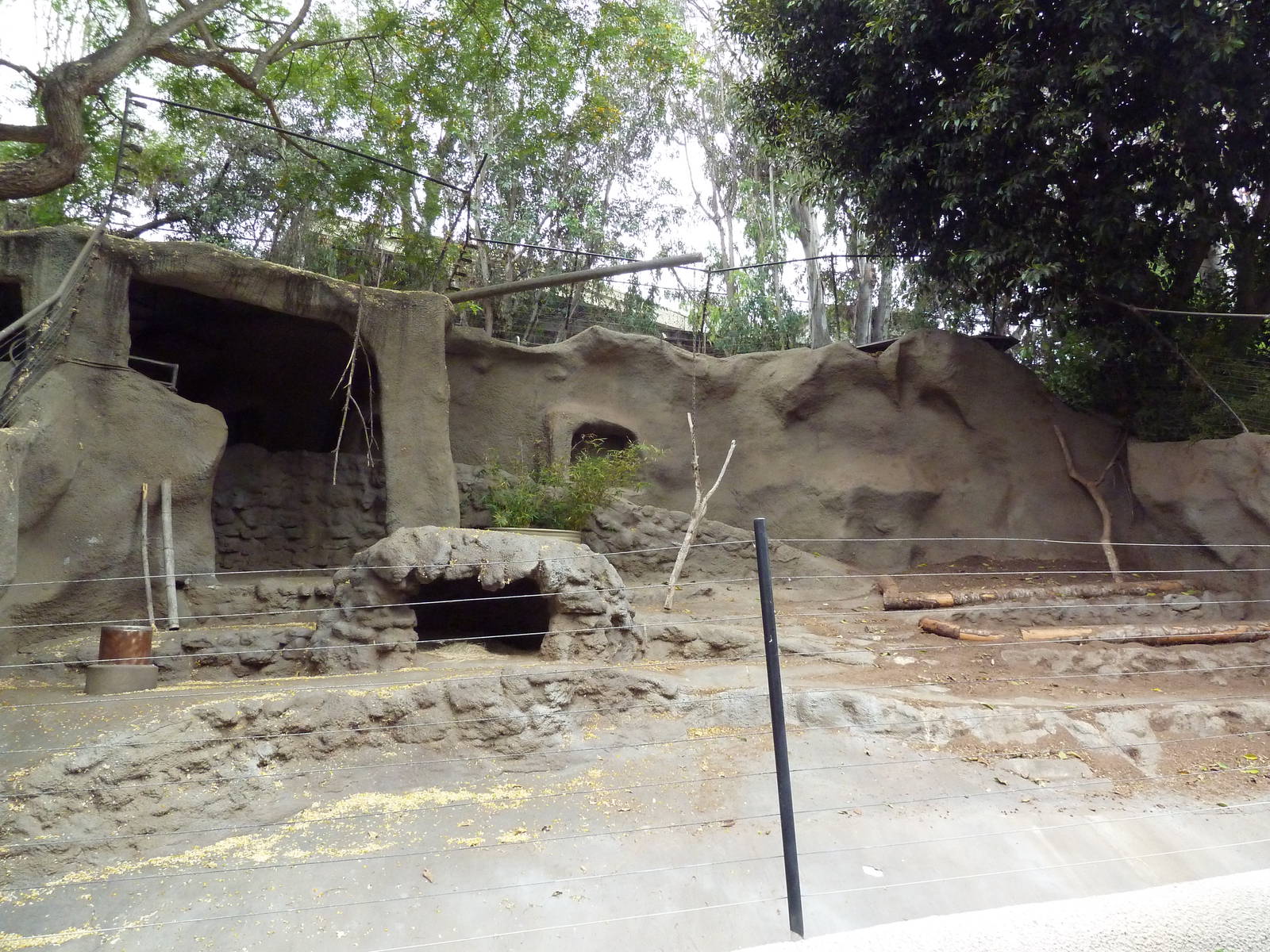 Spotted Hyena Exhibit