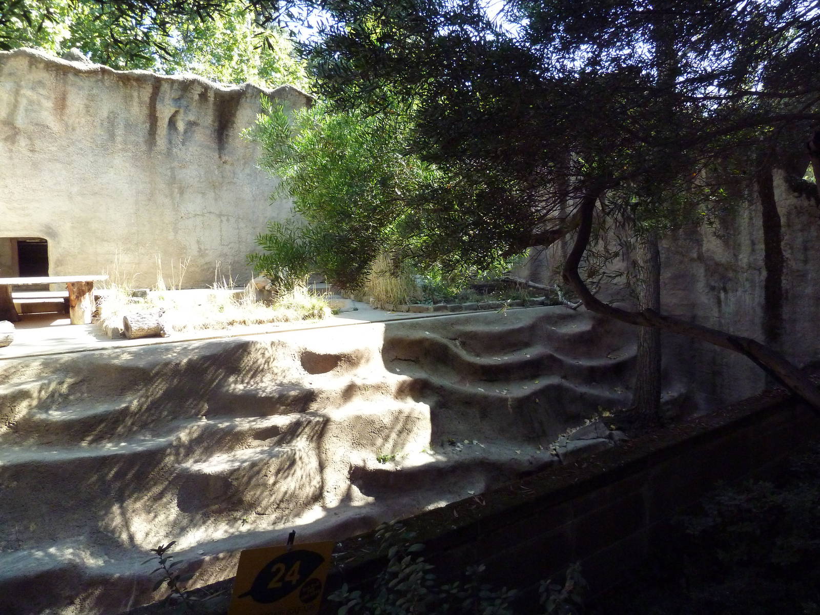 Spotted Hyena Exhibit