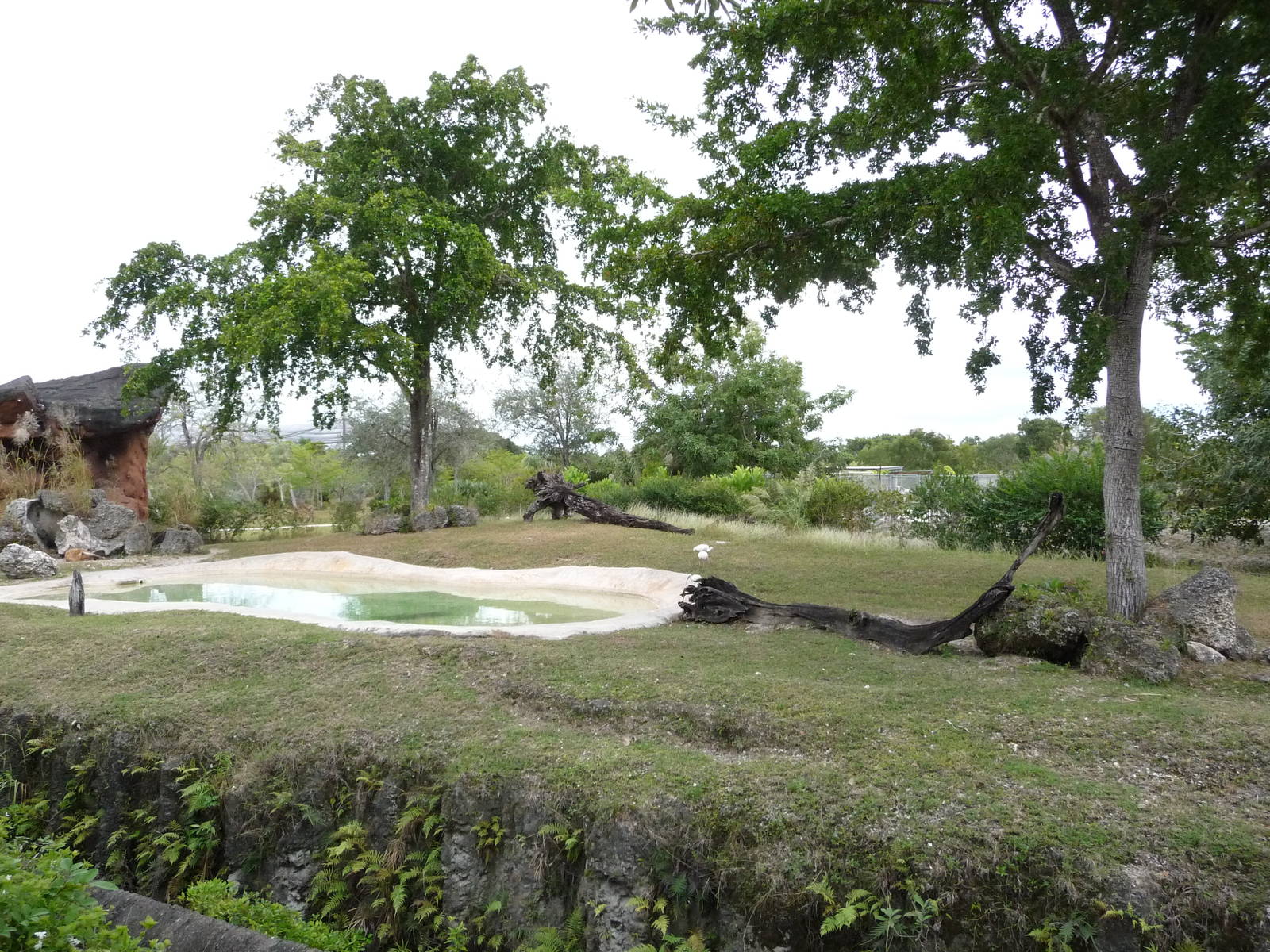 Spotted Hyena Exhibit