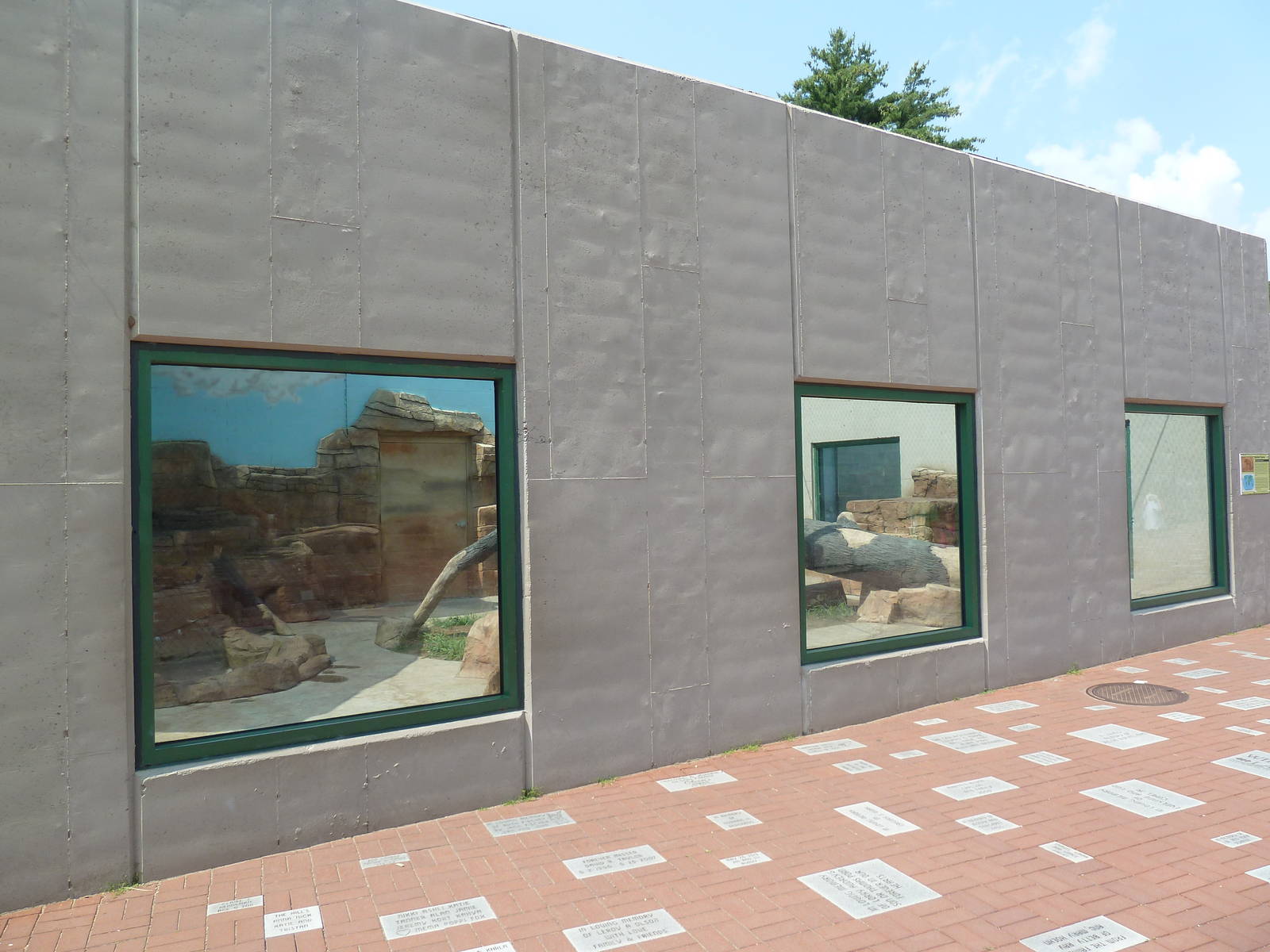 Spotted Hyena Exhibit